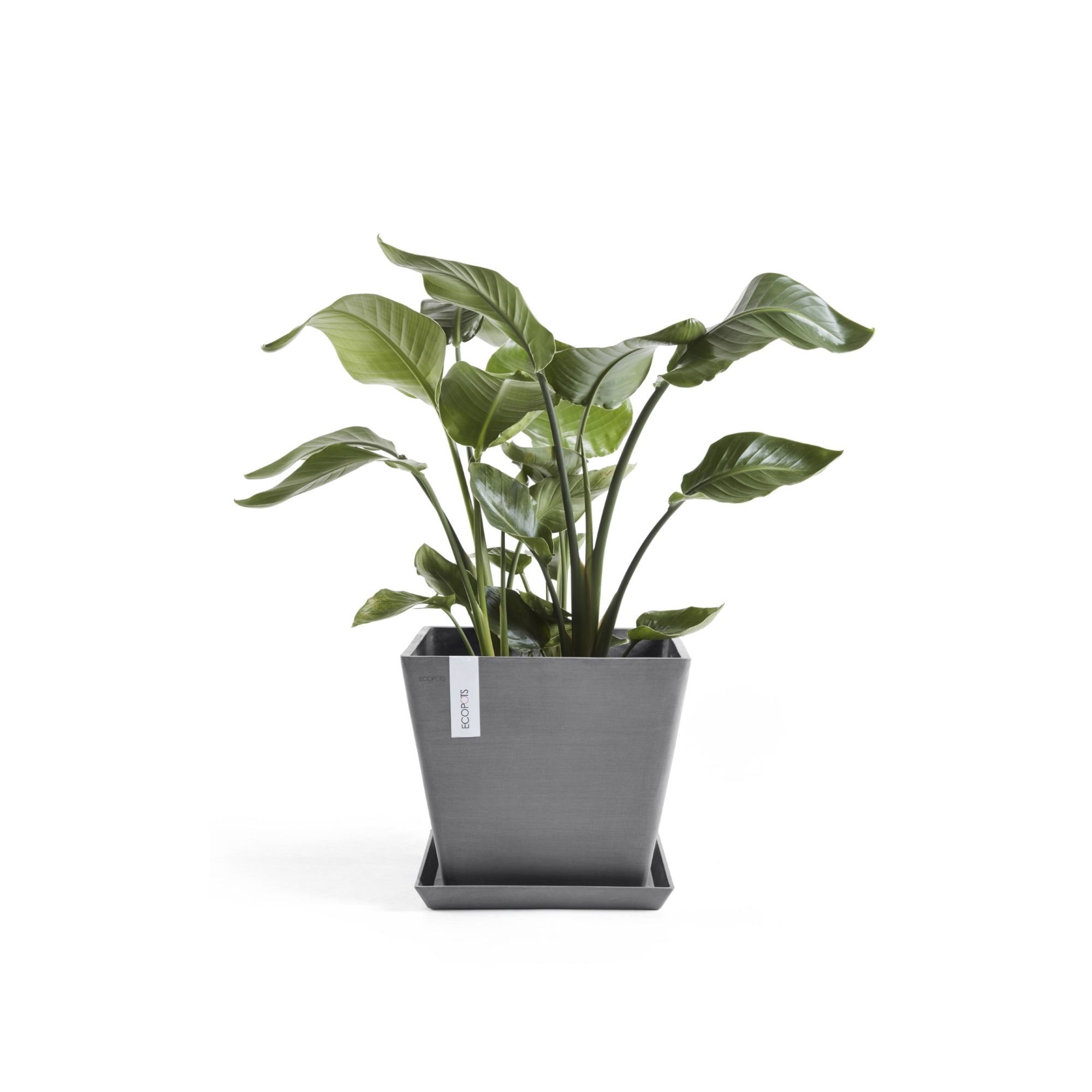 Ecopots Rotterdam Durable Modern Square Indoor/Outdoor Recycled-Based Composite Flower Planter