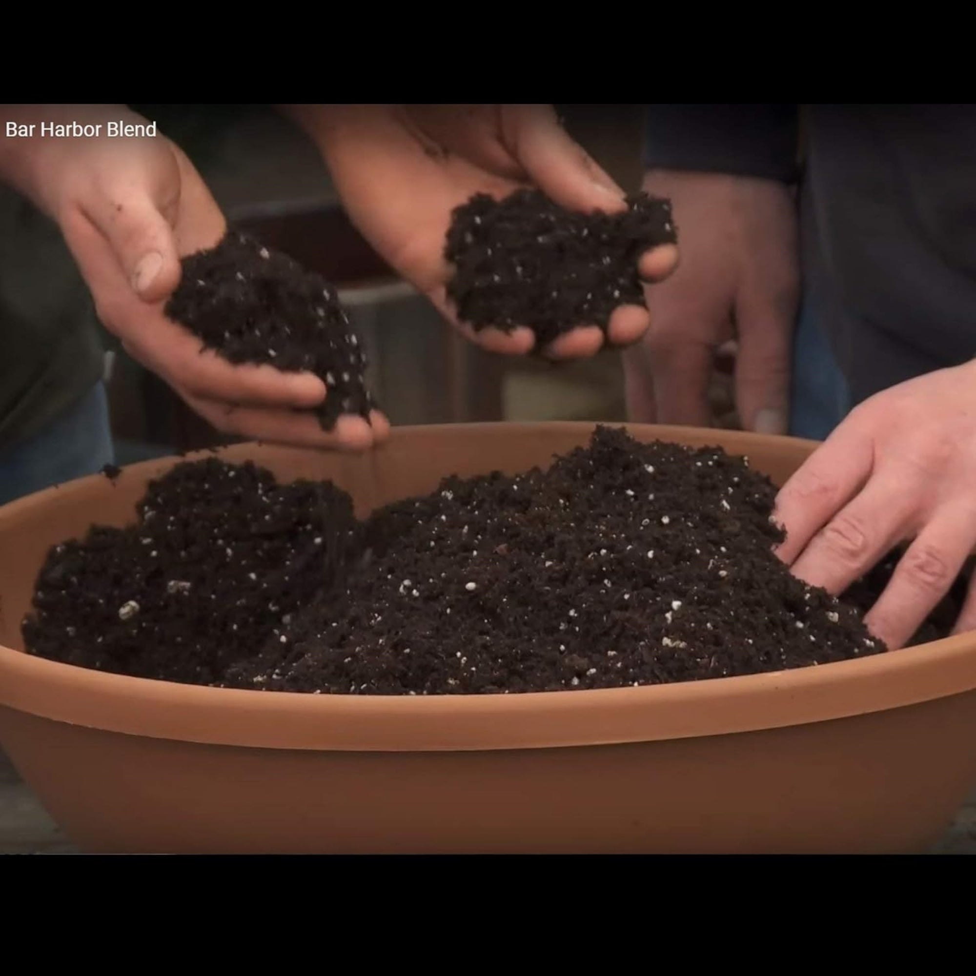 Coast of Maine Bar Harbor Blend Organic and Natural Potting Soil for Houseplants, Flowers, Vegetables, Herbs and Container Gardens