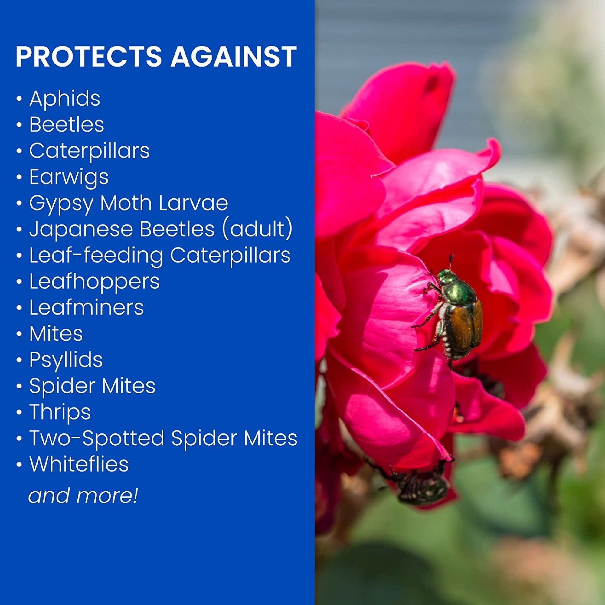 BioAdvanced 3-in-1 Insect, Disease & Mite Control RTU (32oz)