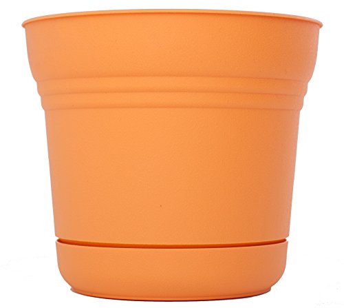 Bloem Saturn Plastic In/Outdoor Flower Pot Planter with Saucers