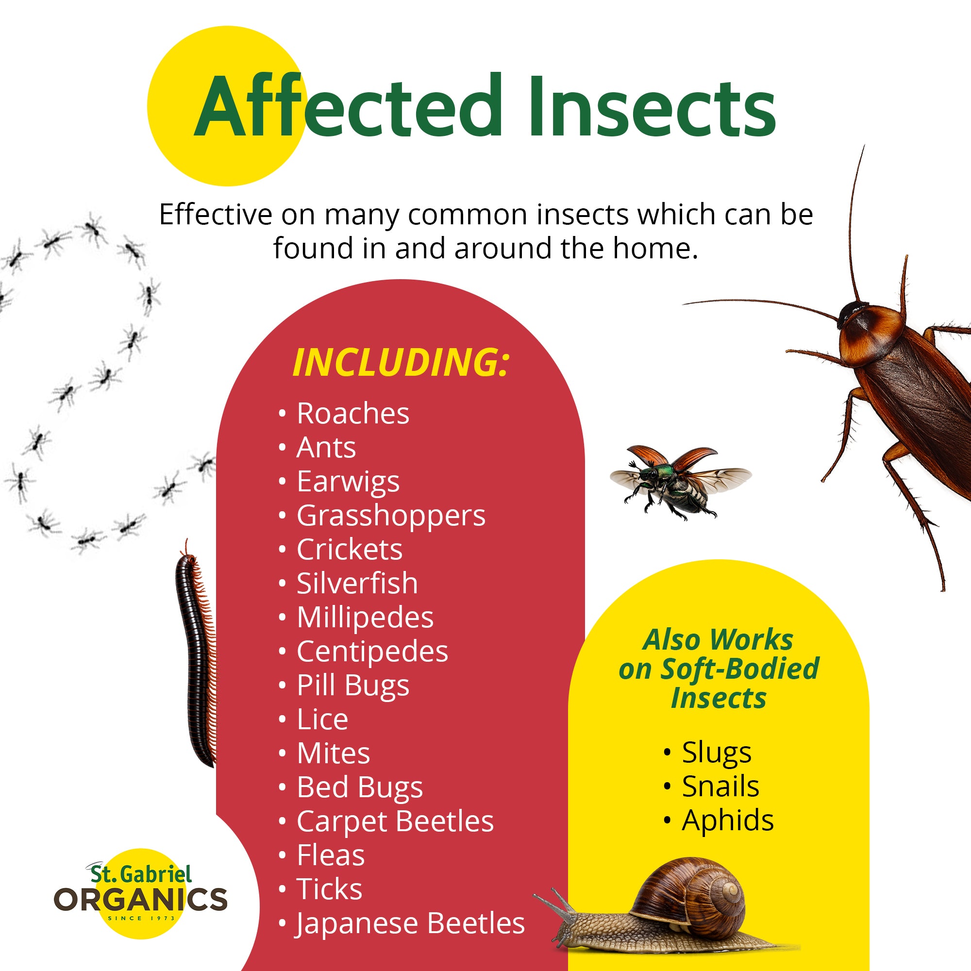 St. Gabriel Organics Insect Dust Diatomaceous Earth Insect Control