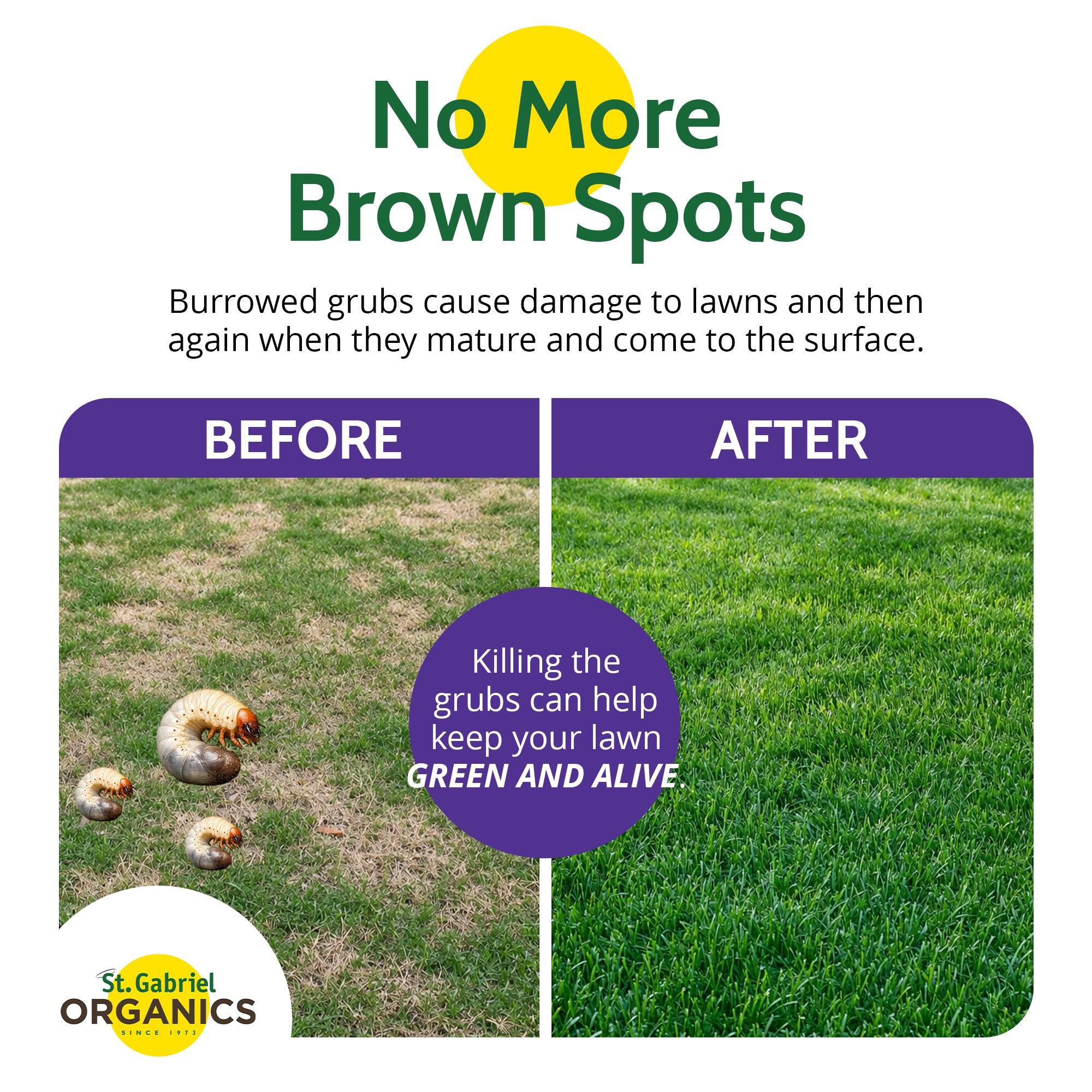 St. Gabriel Organics Milky Spore Japanese Beetle Grub Killer Powder