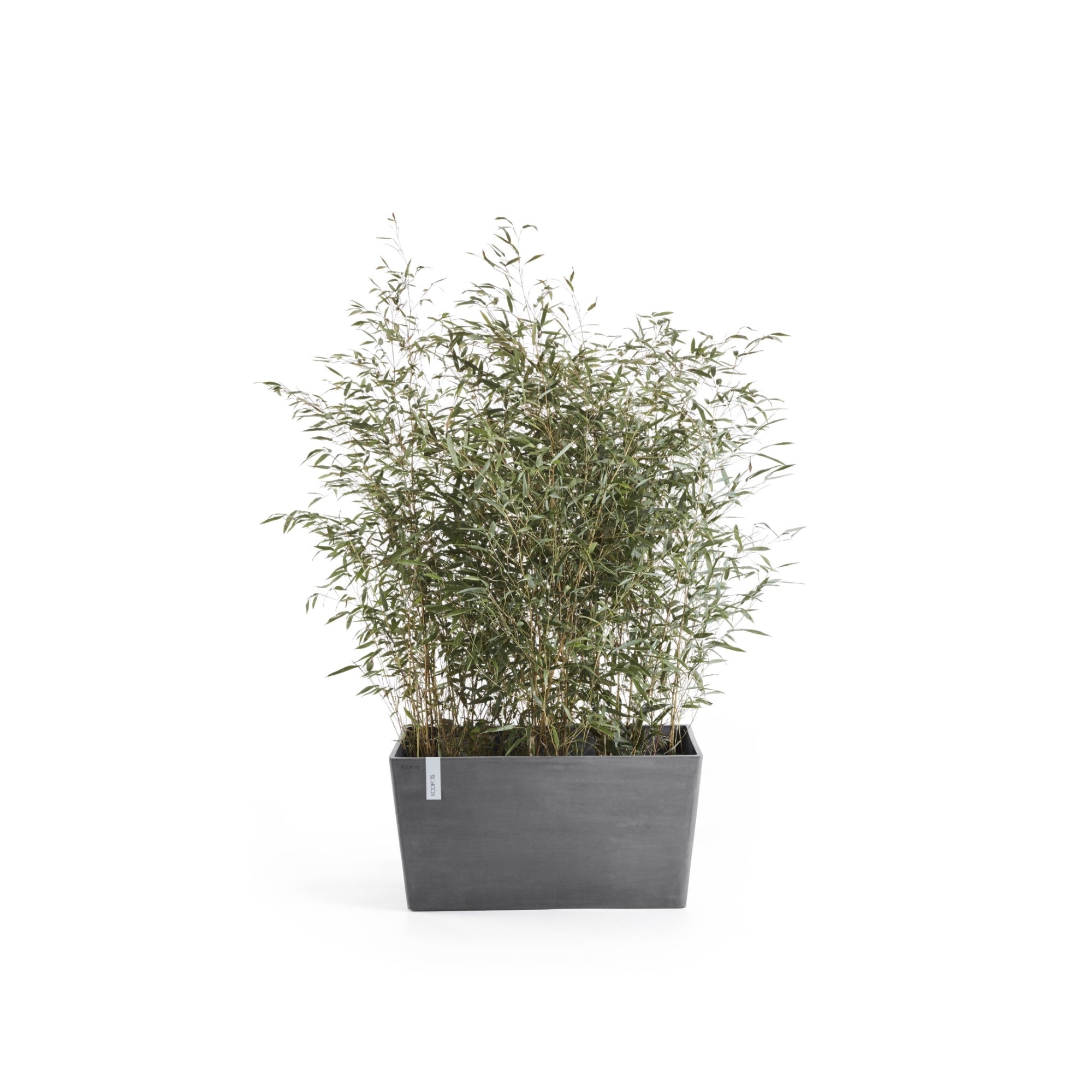 Ecopots Paris Durable Modern Rectangular Indoor/Outdoor Recycled-Based Composite Flower Planter