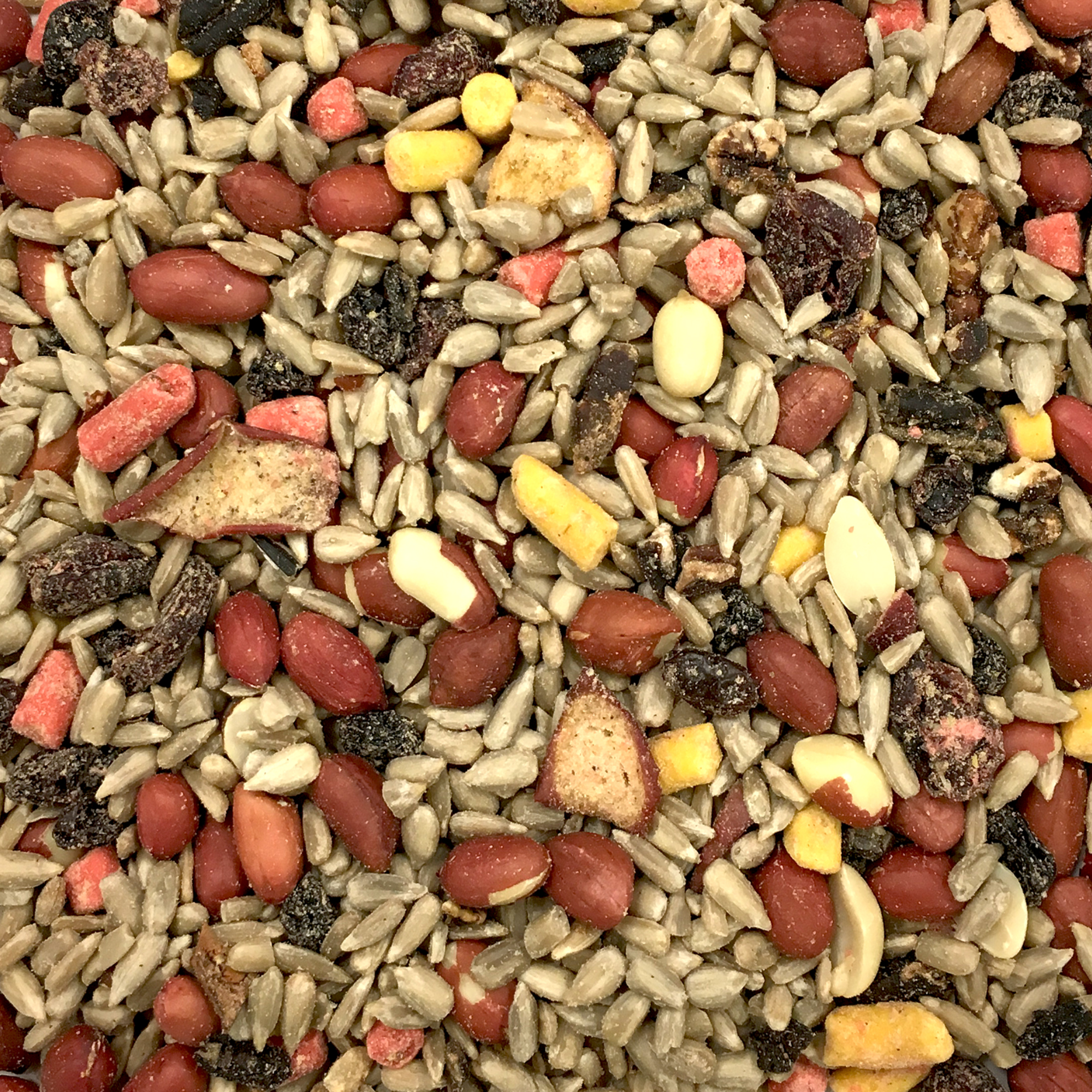 Cole's Nutberry Suet Blend Bird Seed