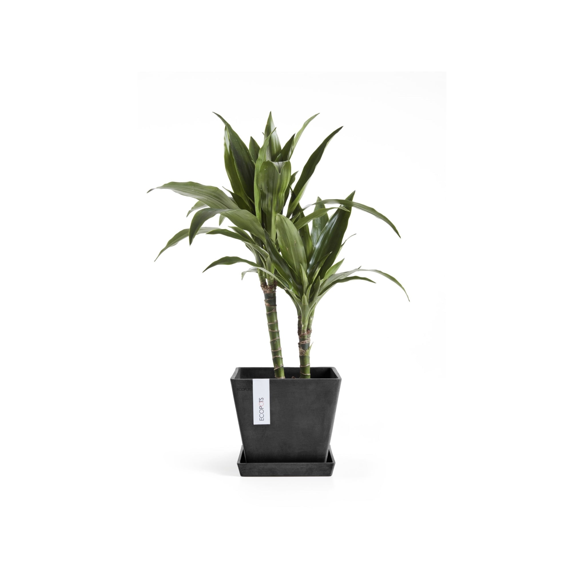 Ecopots Rotterdam Durable Modern Square Indoor/Outdoor Recycled-Based Composite Flower Planter