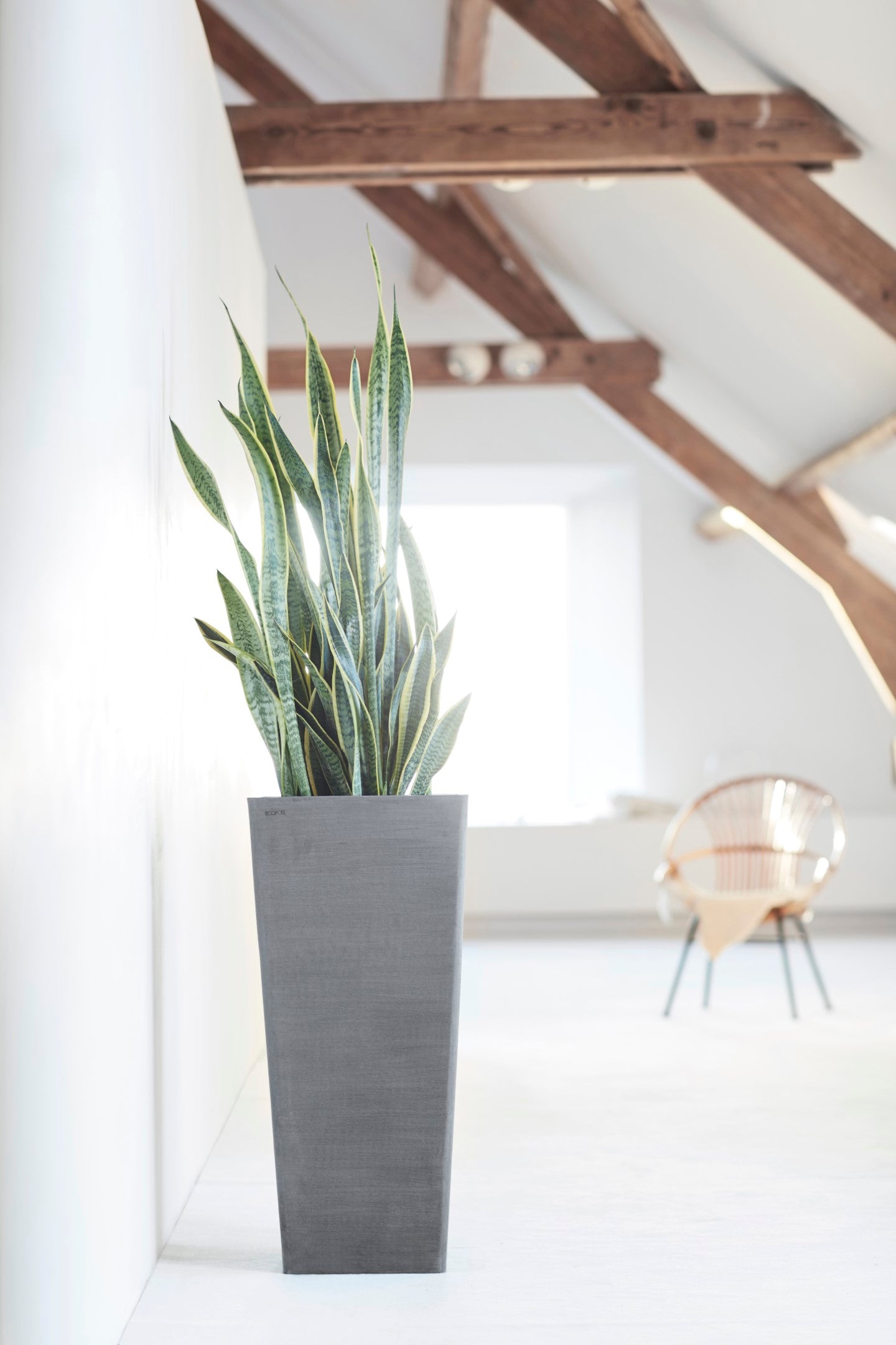 Ecopots Rotterdam Mid High Durable Modern Square Indoor/Outdoor Recycled-Based Composite Flower Planter