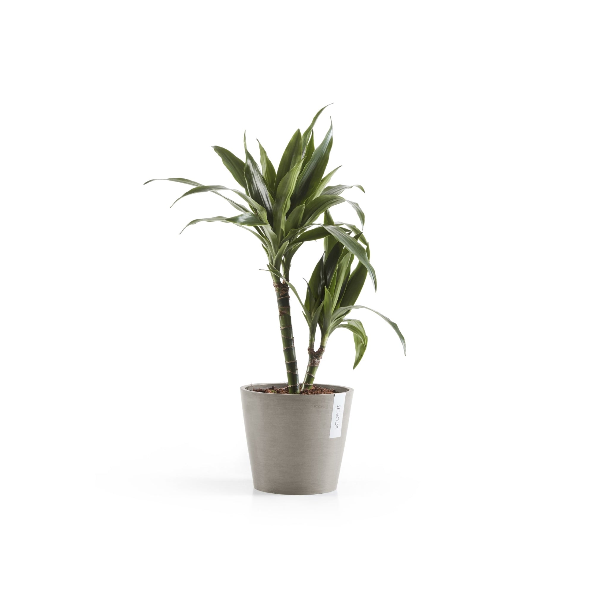 Ecopots Amsterdam Durable Modern Round In/Outdoor Recycled-Based Composite Flower Pot Planter