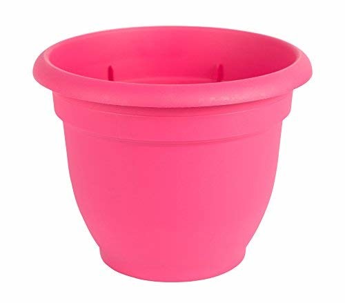 Bloem Ariana Plastic Flower Planter with Self-Watering Disk
