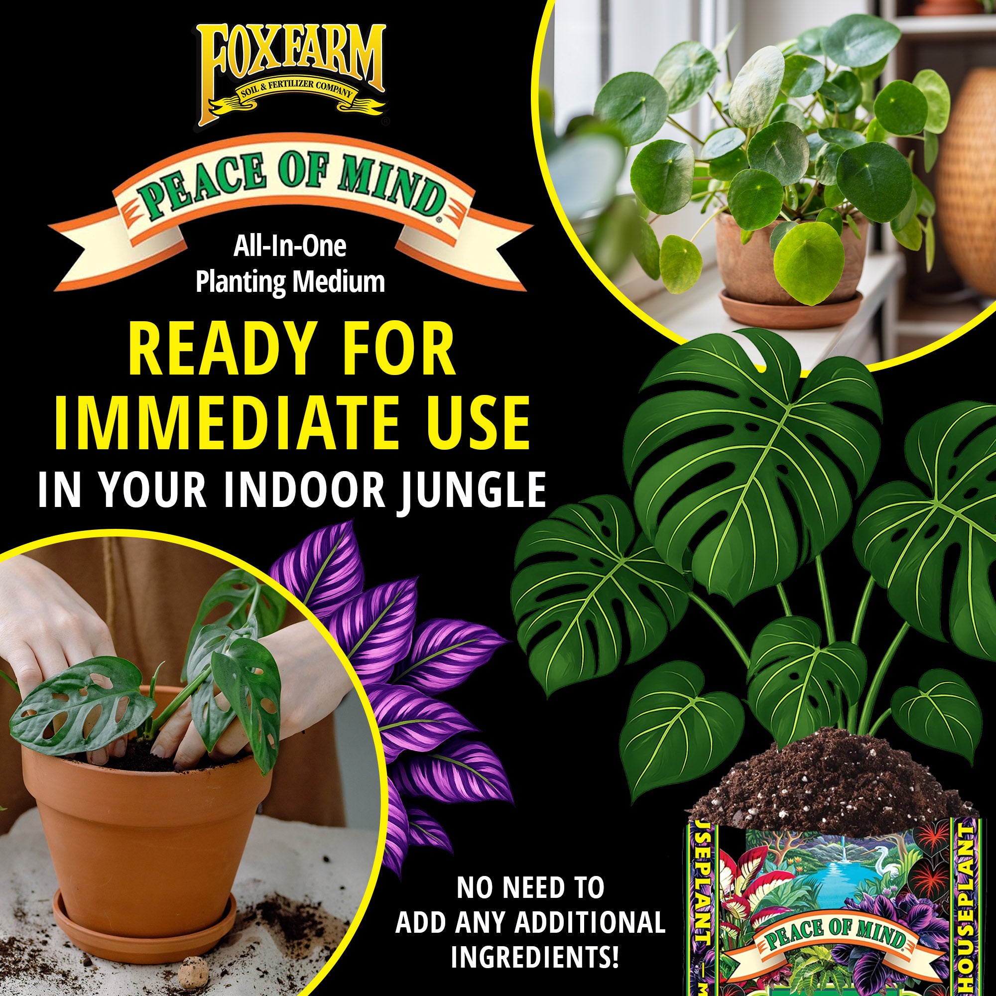 FoxFarm Peace of Mind Houseplant Mix, Ready-to-Use Potting Soil, 12qt
