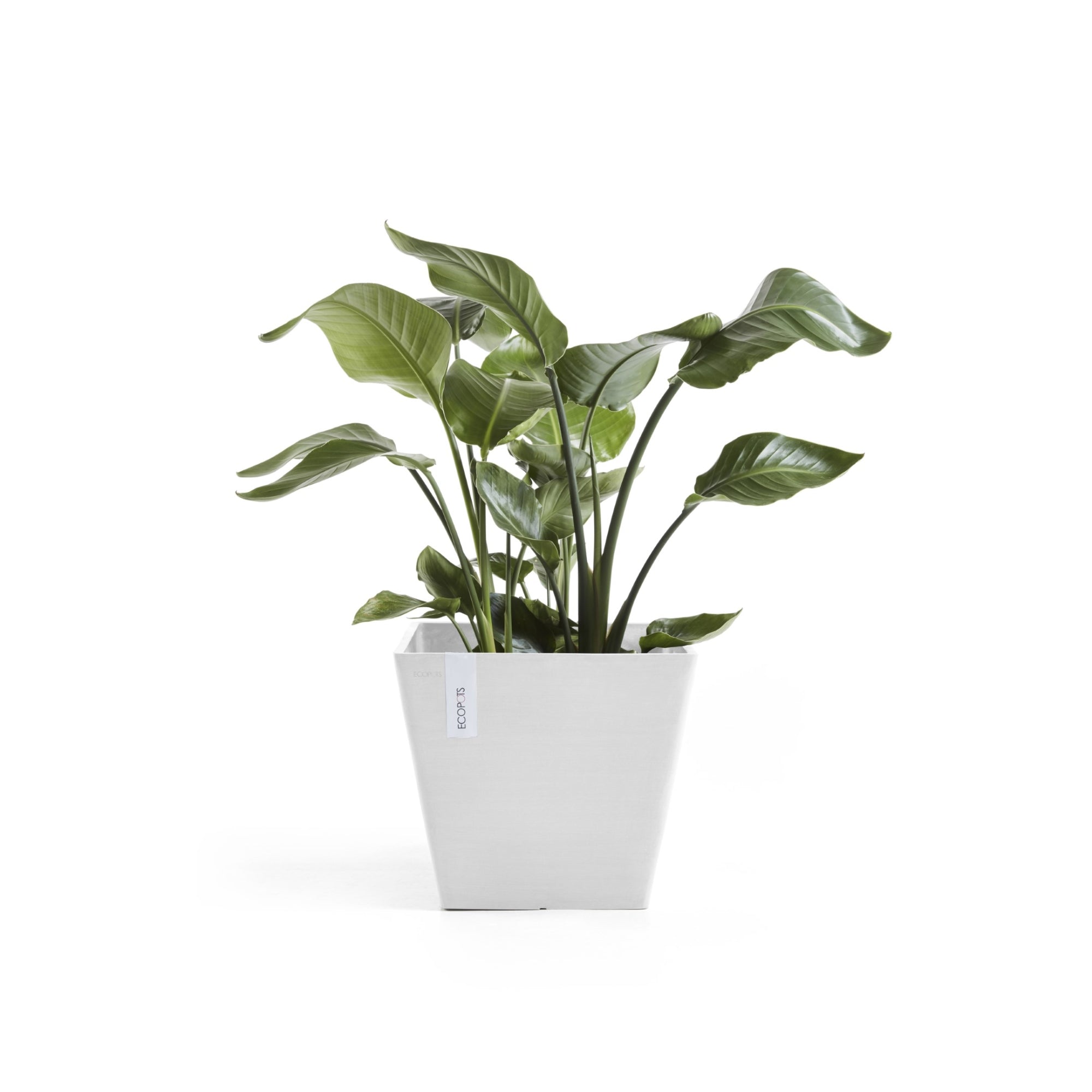 Ecopots Rotterdam Durable Modern Square Indoor/Outdoor Recycled-Based Composite Flower Planter