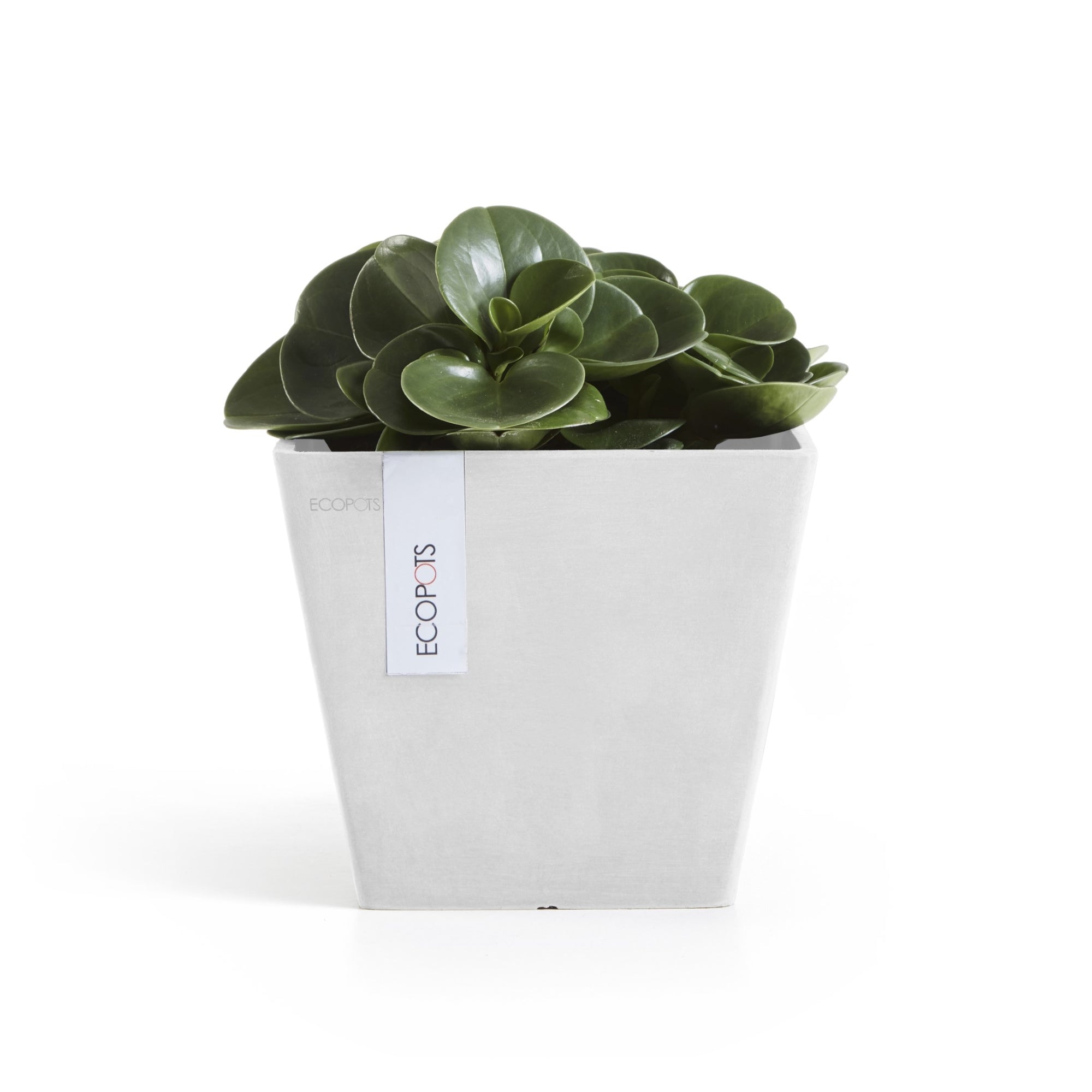Ecopots Rotterdam Durable Modern Square Indoor/Outdoor Recycled-Based Composite Flower Planter