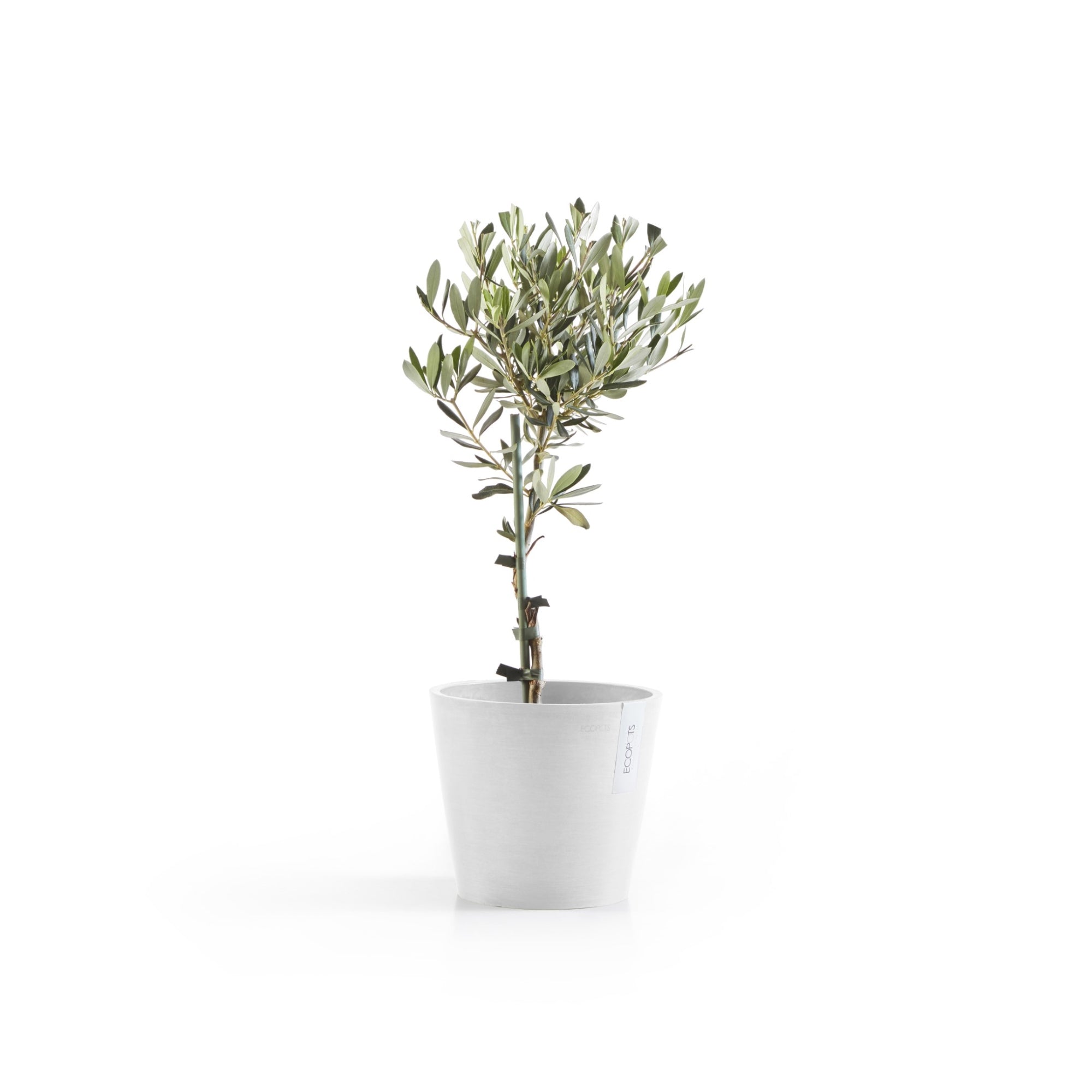 Ecopots Amsterdam Durable Modern Round In/Outdoor Recycled-Based Composite Flower Pot Planter