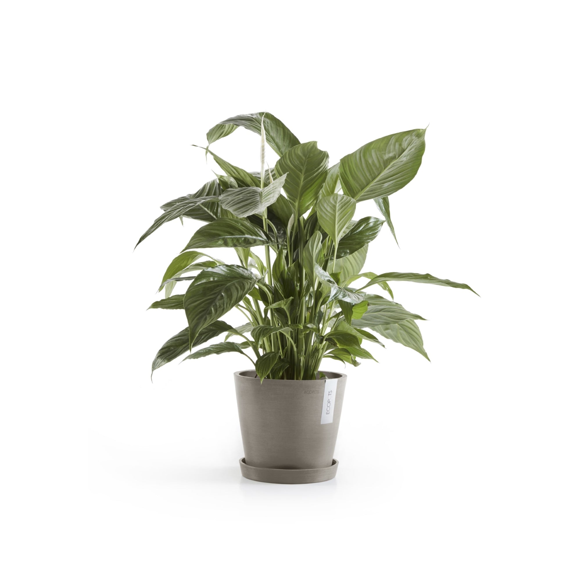 Ecopots Amsterdam Durable Modern Round In/Outdoor Recycled-Based Composite Flower Pot Planter