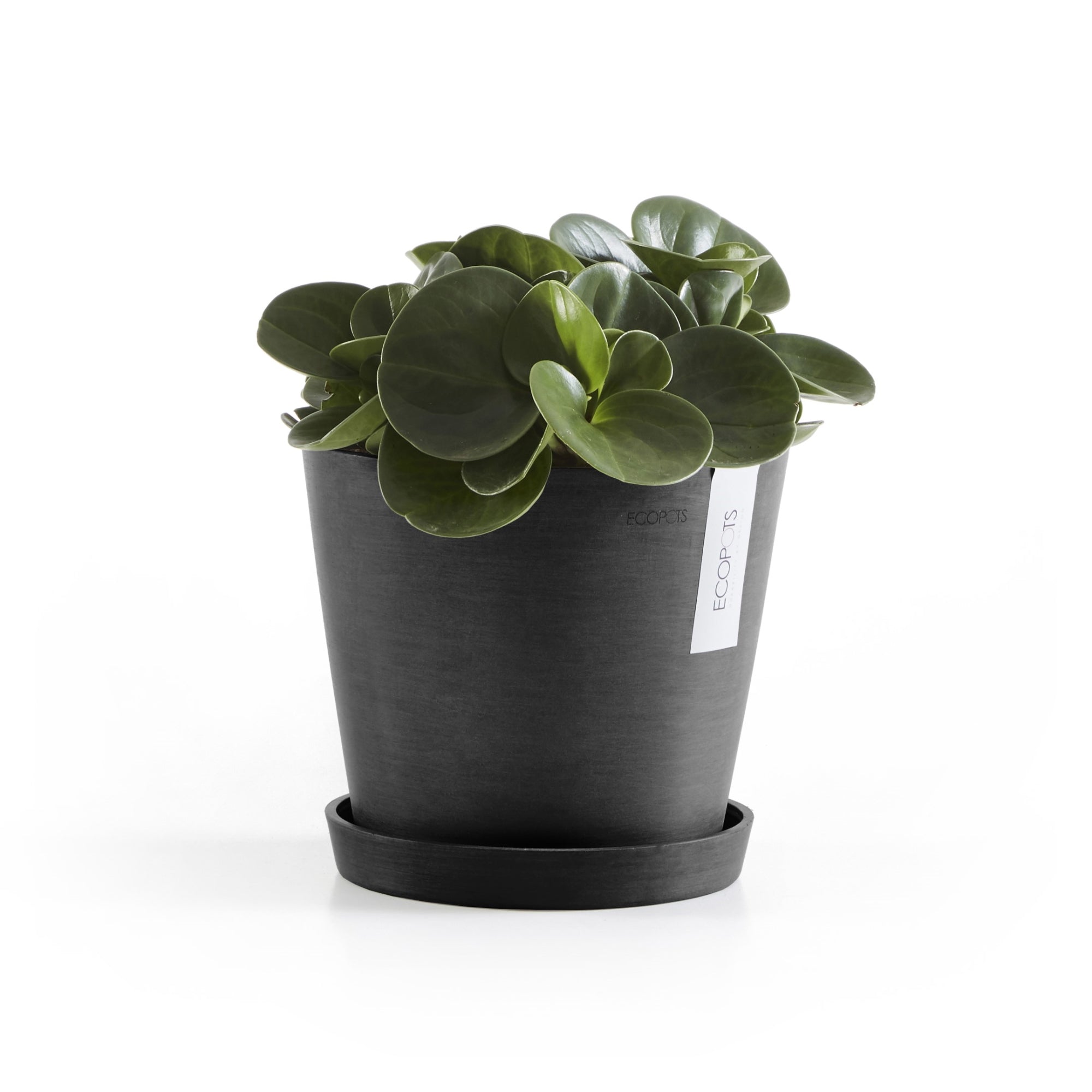 Ecopots Amsterdam Durable Modern Round In/Outdoor Recycled-Based Composite Flower Pot Planter