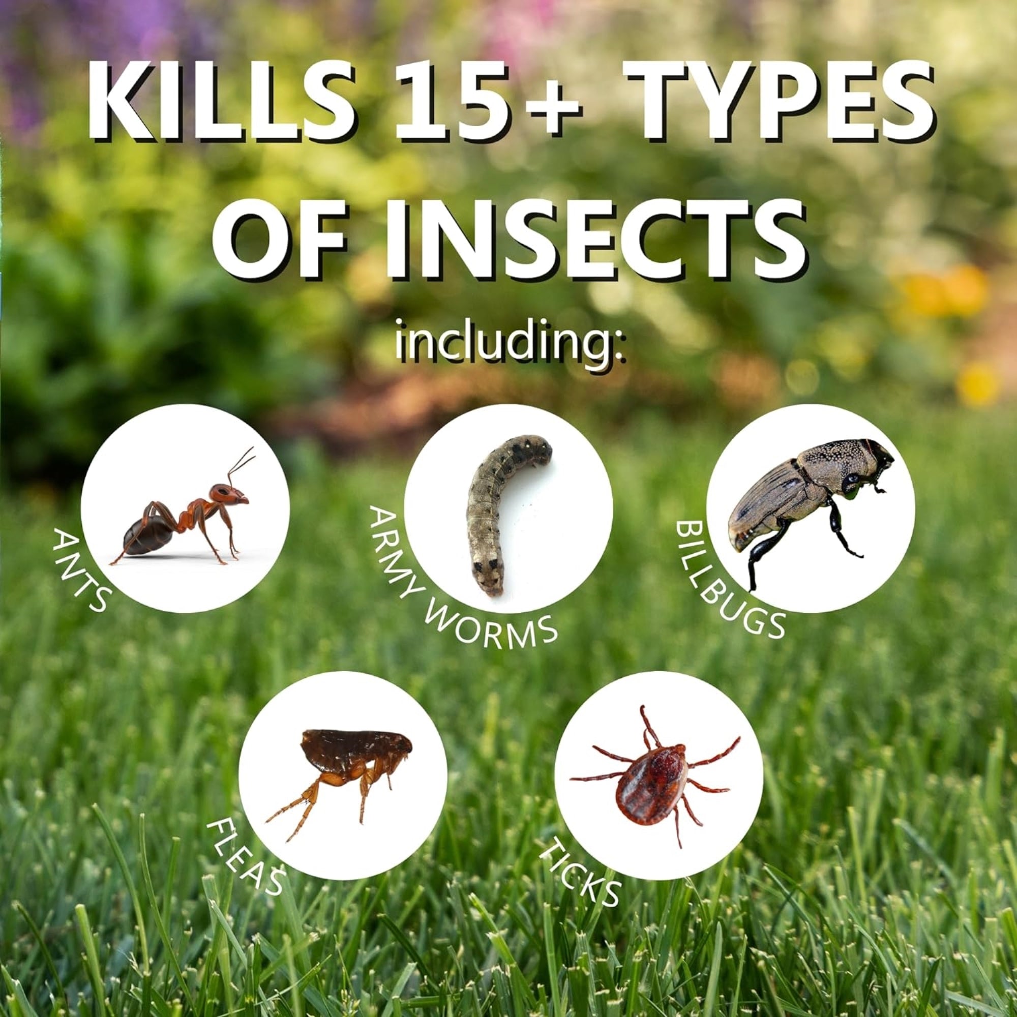 Jonathan Green Summer Survival Insect Control Plus Lawn Fertilizer