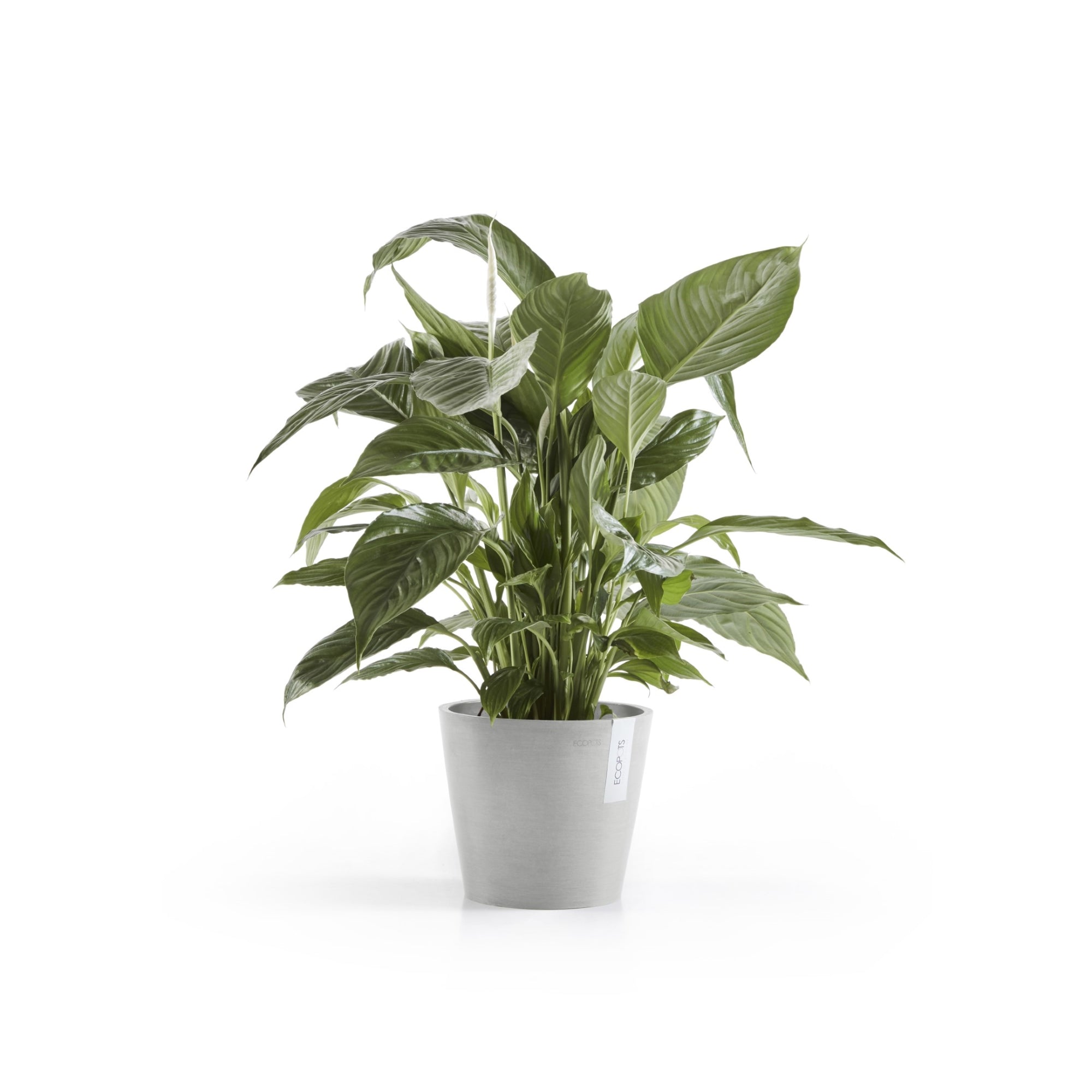 Ecopots Amsterdam Durable Modern Round In/Outdoor Recycled-Based Composite Flower Pot Planter