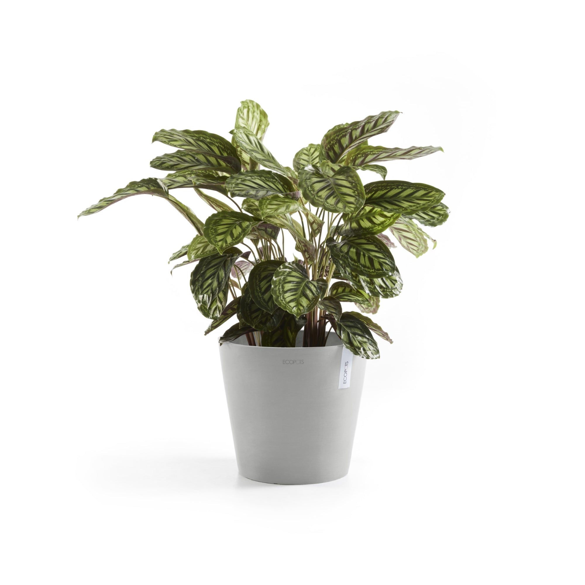 Ecopots Amsterdam Durable Modern Round In/Outdoor Recycled-Based Composite Flower Pot Planter