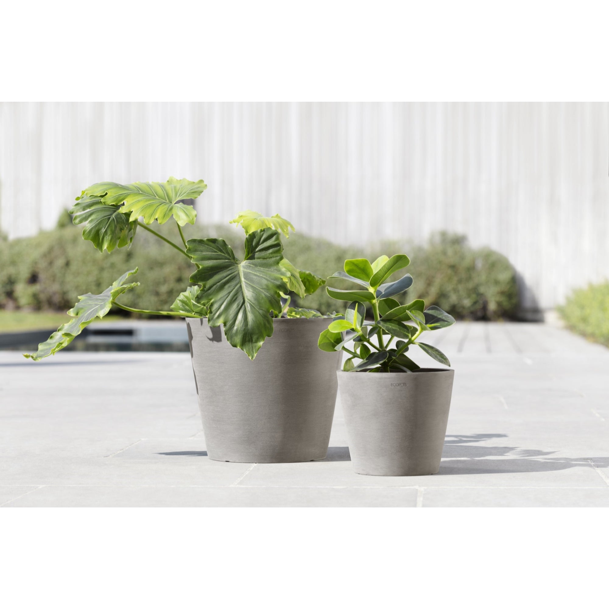 Ecopots Amsterdam Durable Modern Round In/Outdoor Recycled-Based Composite Flower Pot Planter