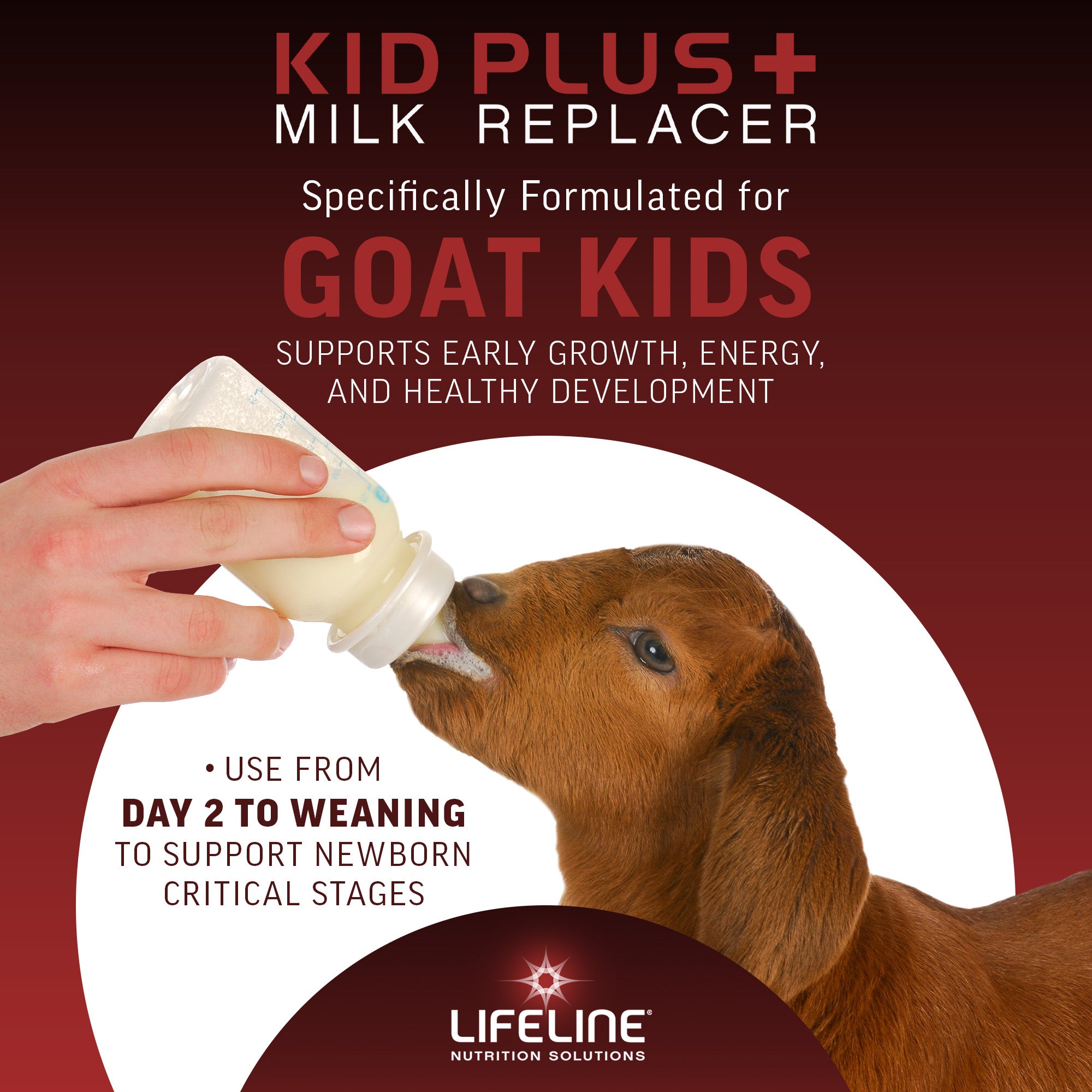 ANNUSO LIFELINE Kid Plus+ Milk Replacer