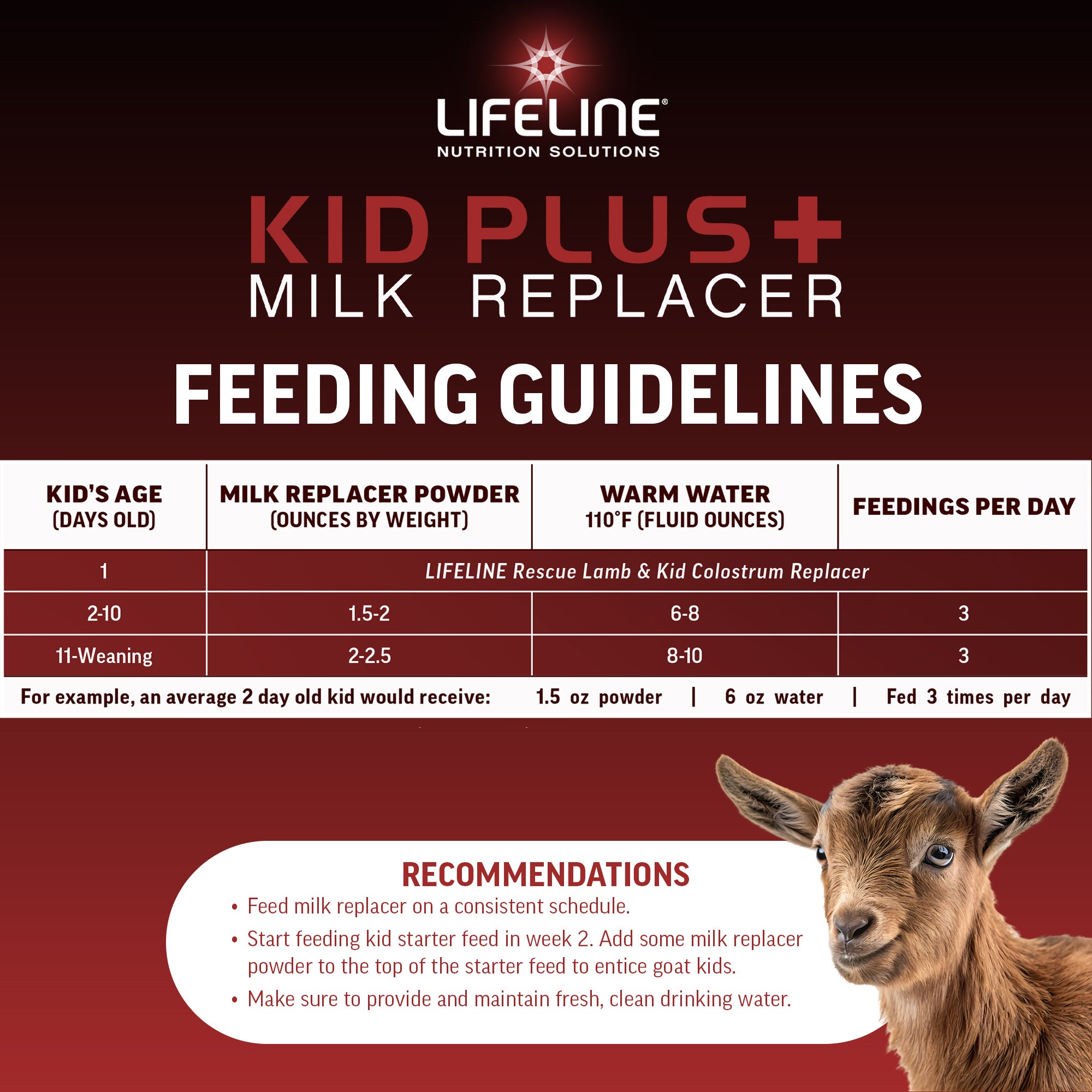ANNUSO LIFELINE Kid Plus+ Milk Replacer