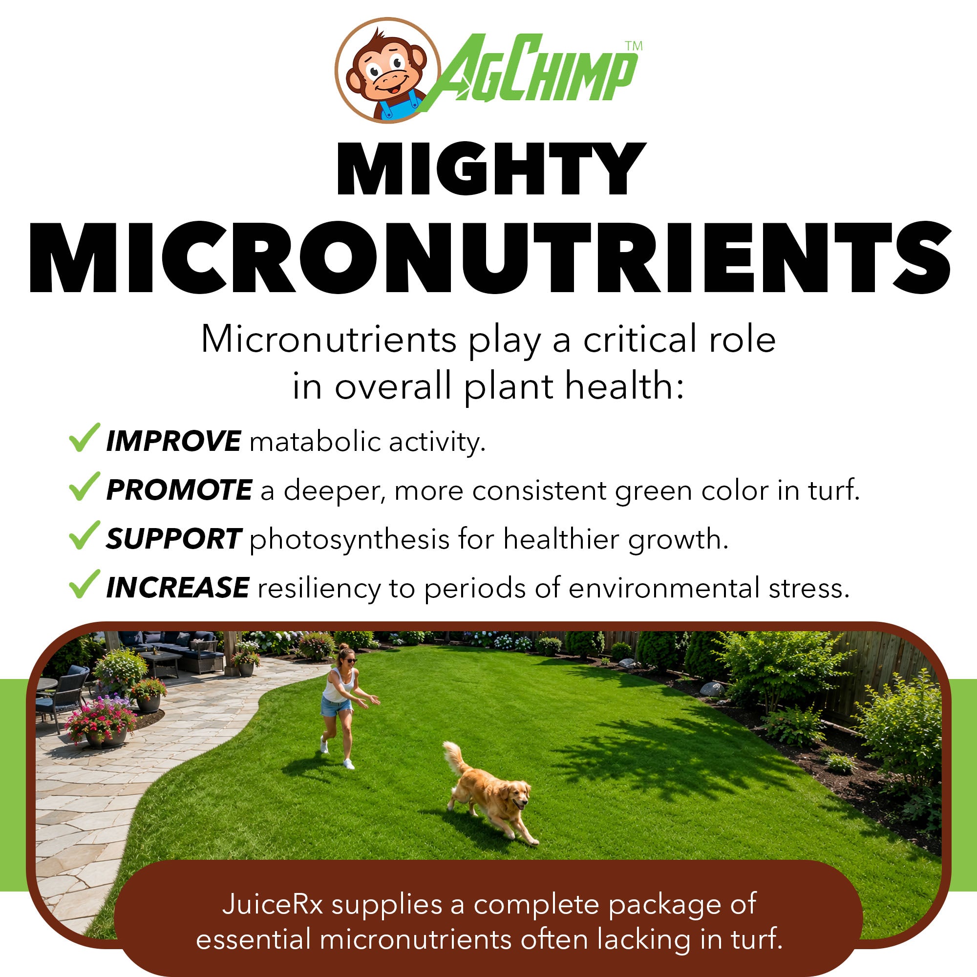AgChimp JuiceRx Ready-to-Use Liquid Micronutrient Supplement for Lawns, 1qt