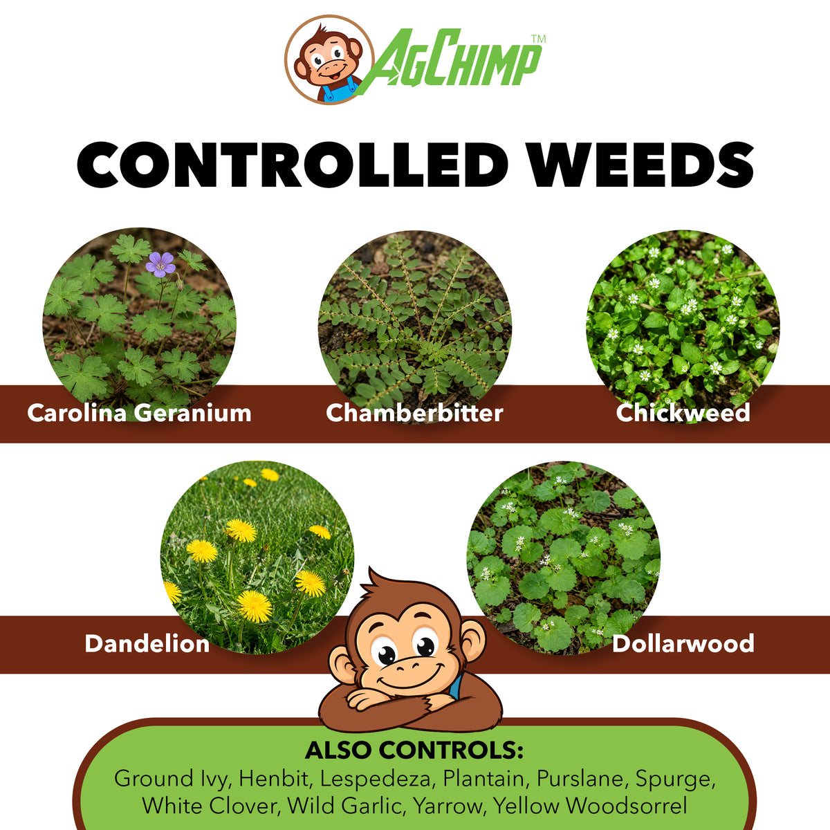 AgChimp Three-D Selective Broadleaf Herbicide for Lawns and Turf, 1 pint