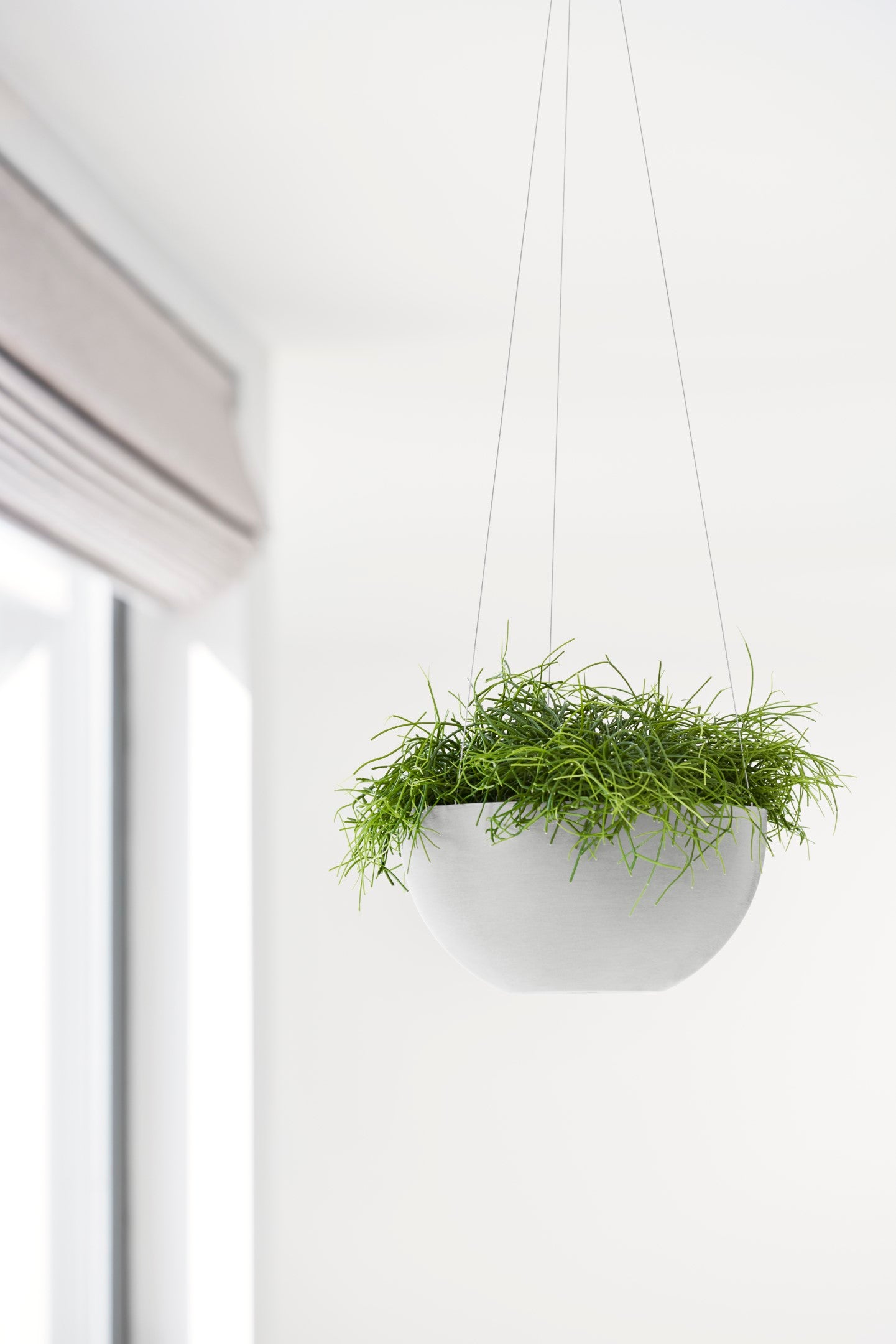 Ecopots Hanging Brussels Durable Modern Round Indoor/Outdoor Recycled-Based Composite Flower Pot Planter
