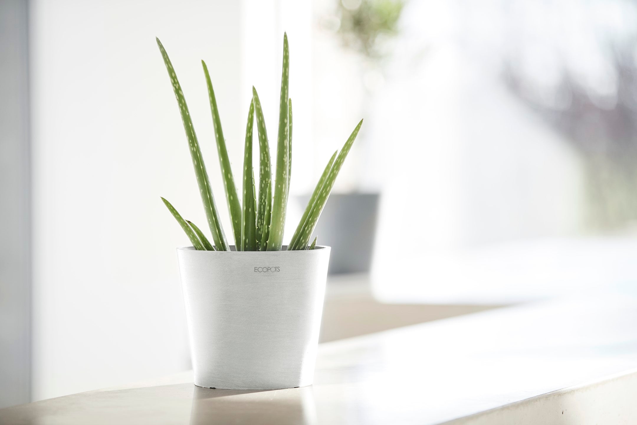 Ecopots Amsterdam Mini Durable Modern Round Recycled-Based Composite Flower Pot Planter