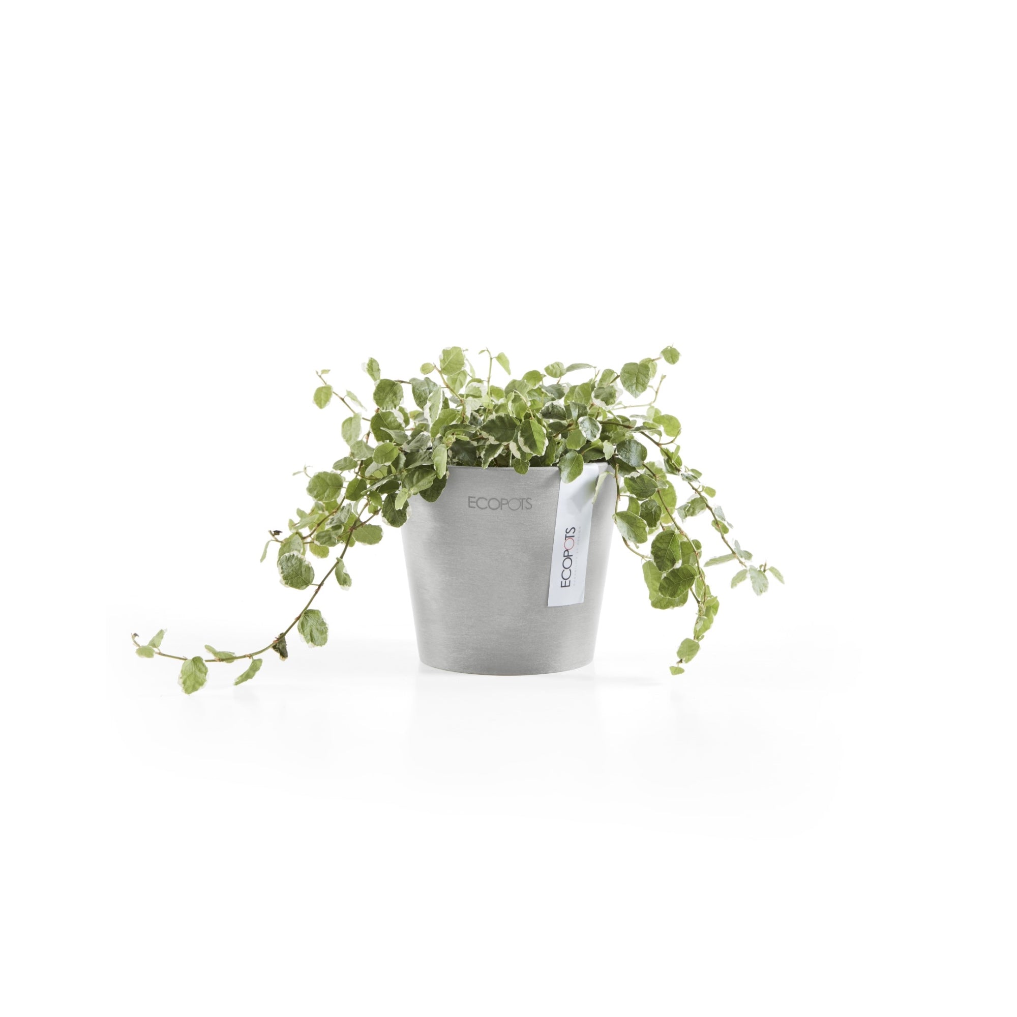 Ecopots Amsterdam Mini Durable Modern Round Recycled-Based Composite Flower Pot Planter