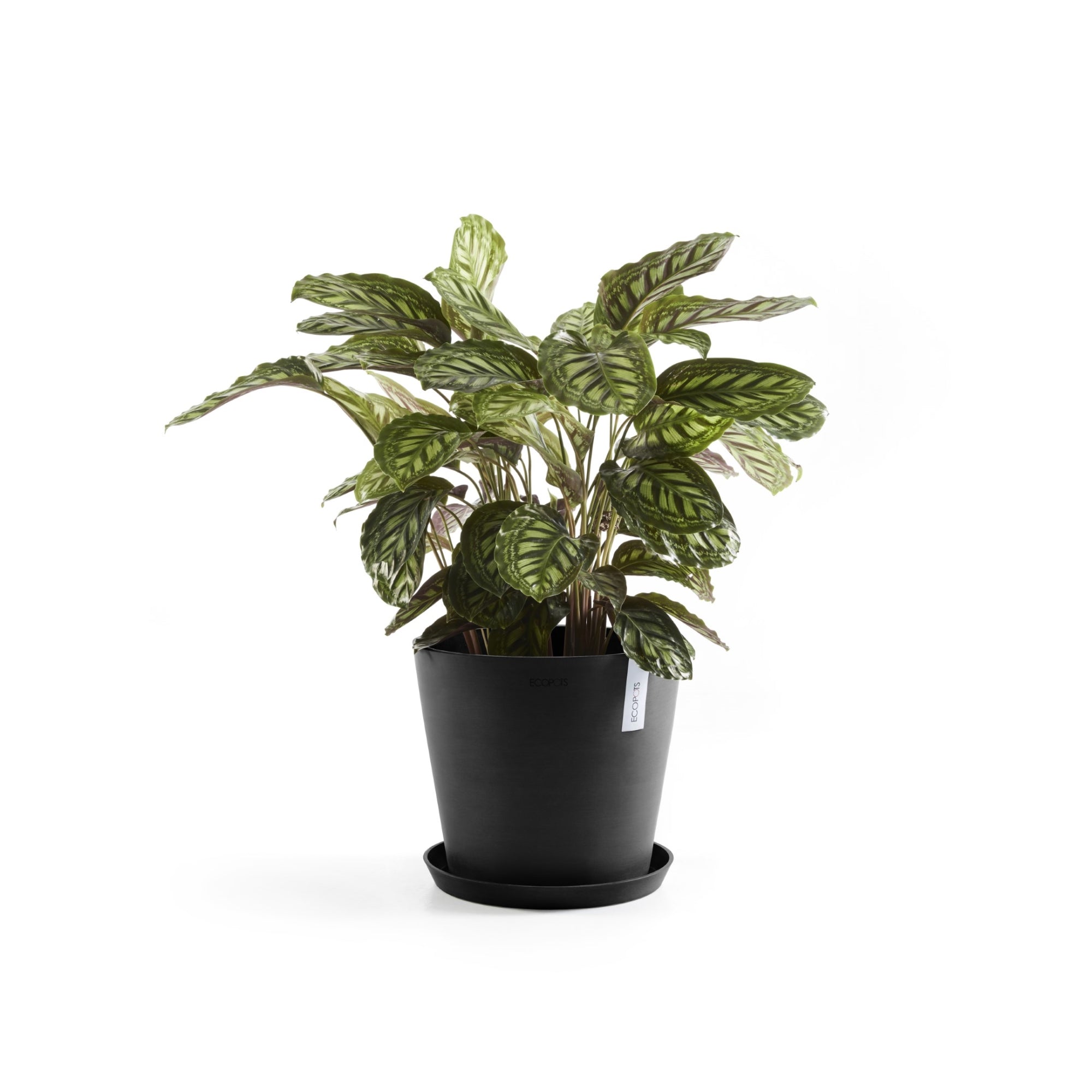 Ecopots Amsterdam Durable Modern Round In/Outdoor Recycled-Based Composite Flower Pot Planter