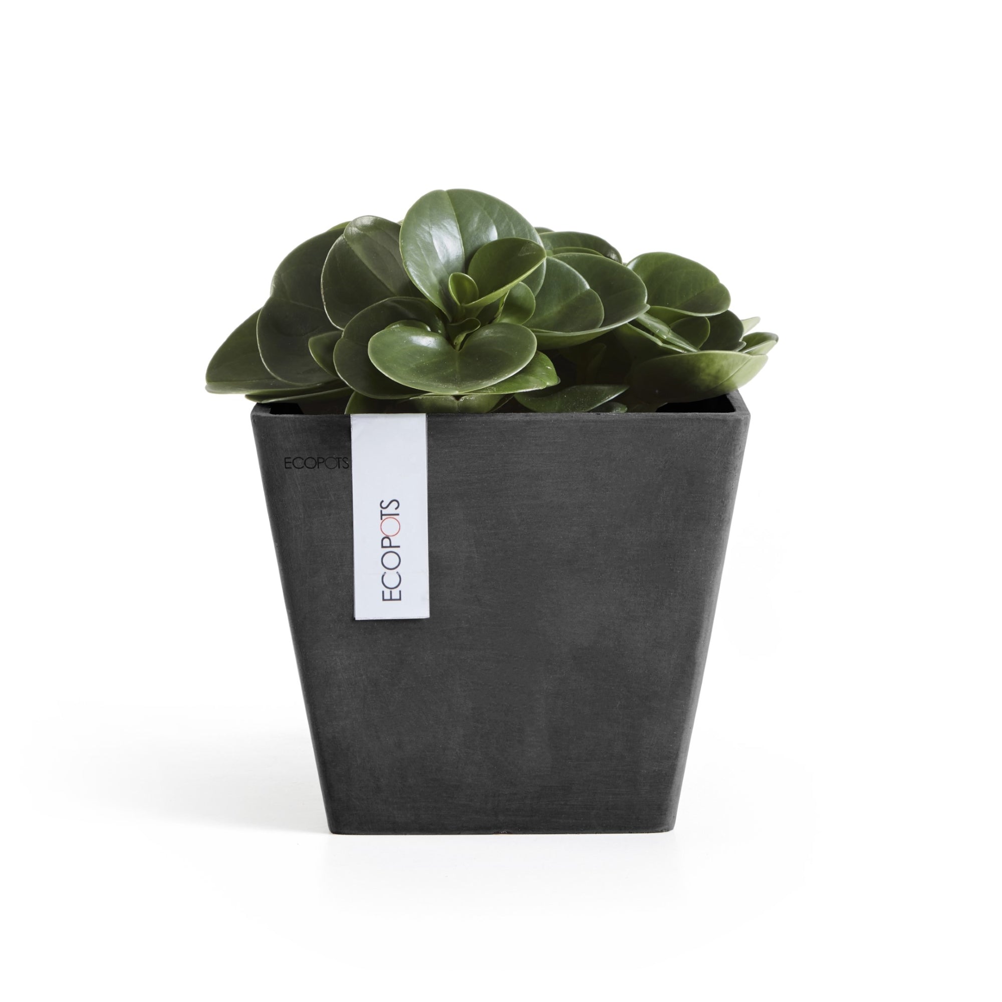 Ecopots Rotterdam Durable Modern Square Indoor/Outdoor Recycled-Based Composite Flower Planter