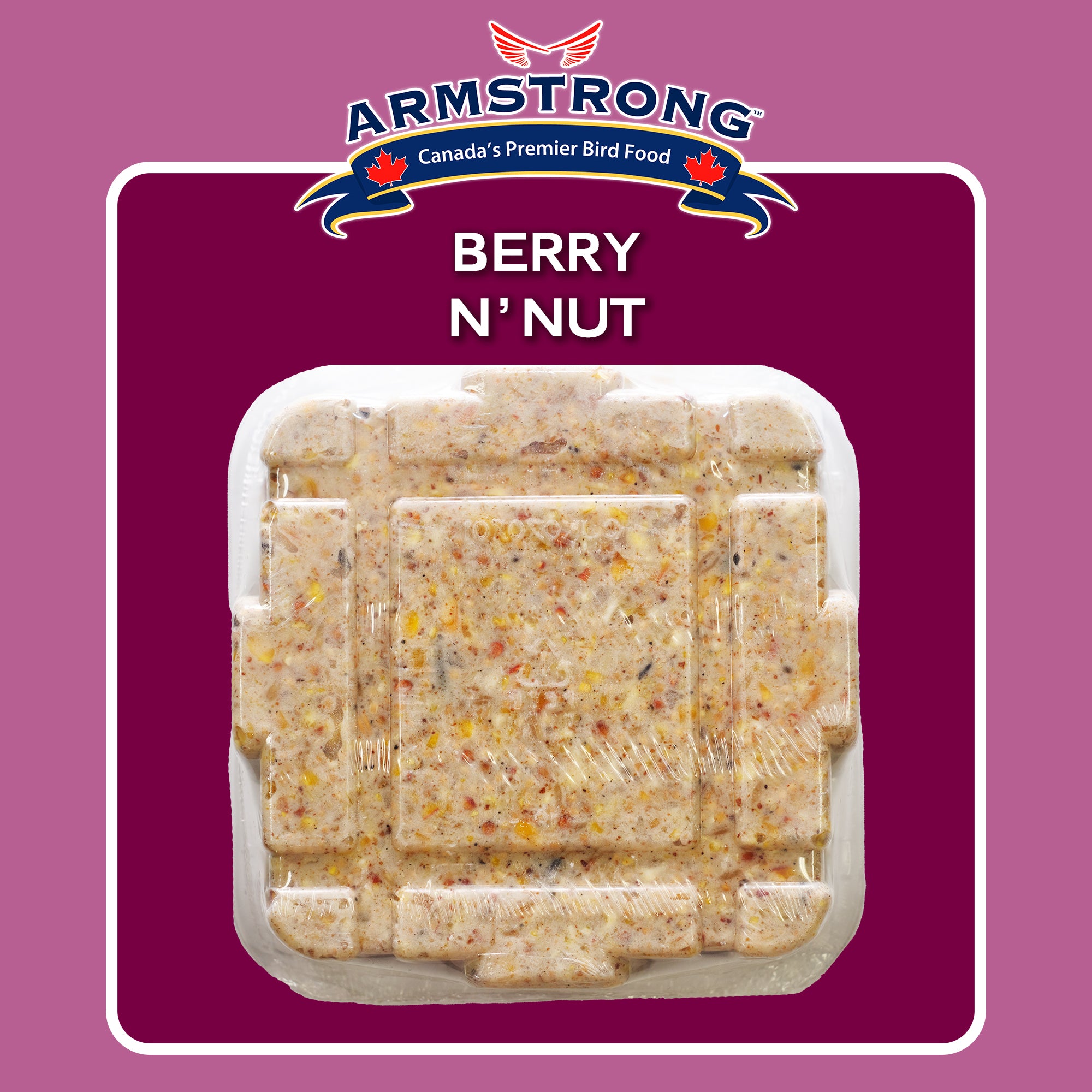 Armstrong Wild Bird Food Berry N' Nut Suet Cake, 11.3oz (Pack of 12)