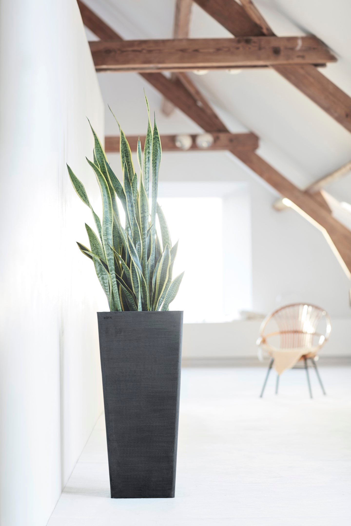 Ecopots Rotterdam Mid High Durable Modern Square Indoor/Outdoor Recycled-Based Composite Flower Planter