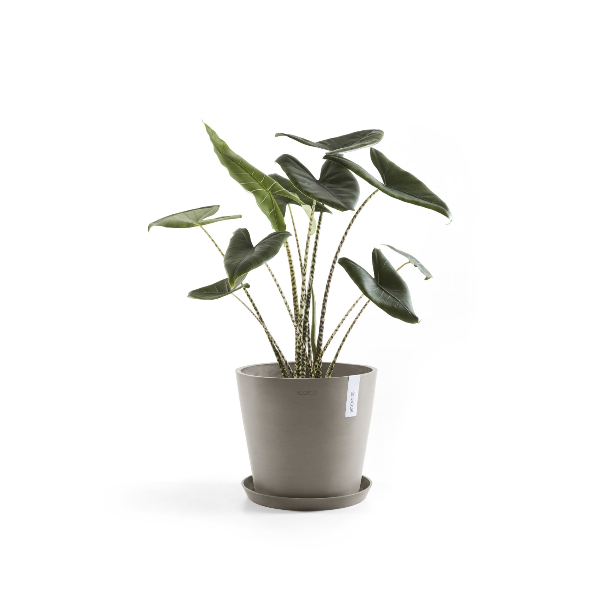 Ecopots Amsterdam Durable Modern Round In/Outdoor Recycled-Based Composite Flower Pot Planter