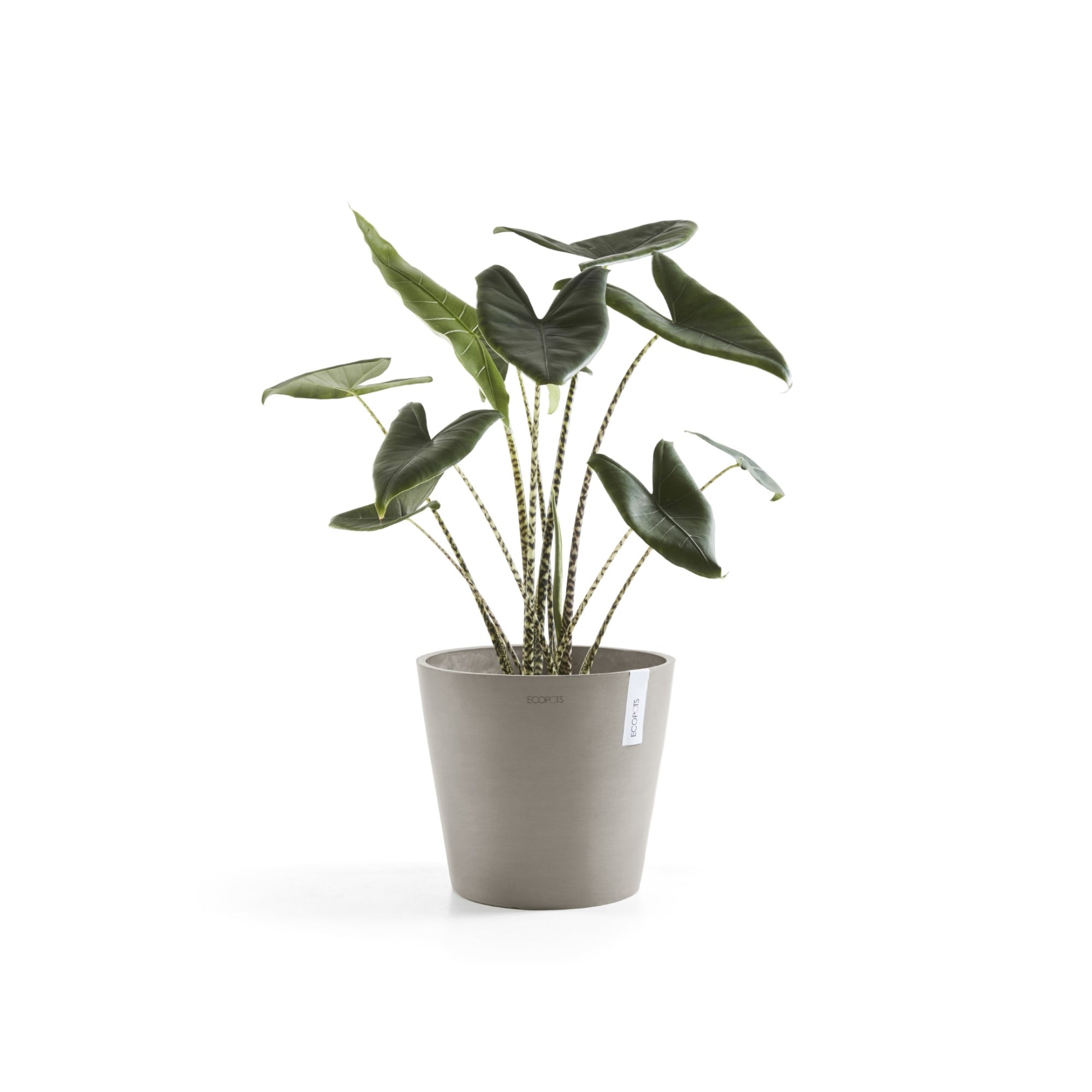 Ecopots Amsterdam Durable Modern Round In/Outdoor Recycled-Based Composite Flower Pot Planter