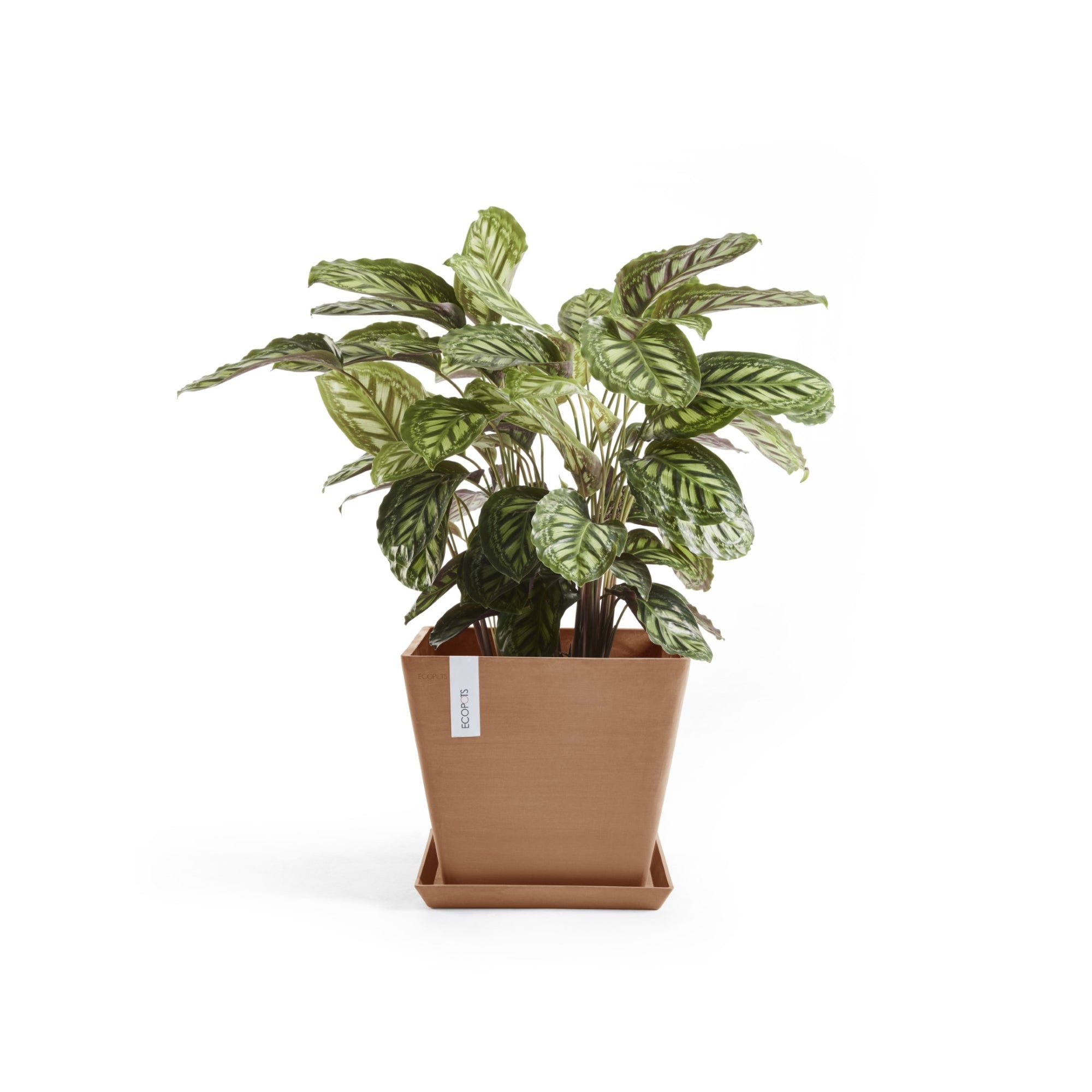 Ecopots Rotterdam Durable Modern Square Indoor/Outdoor Recycled-Based Composite Flower Planter