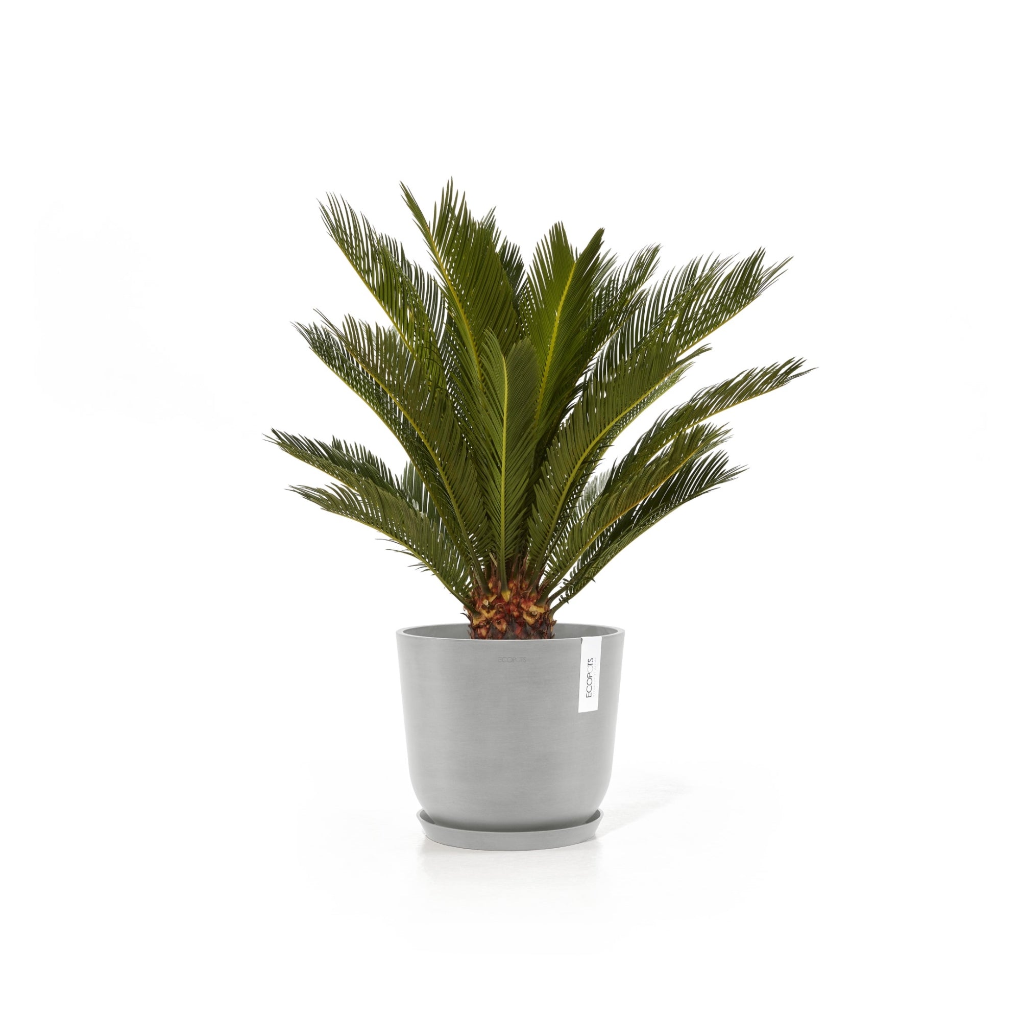 Ecopots Oslo Durable Modern Round Indoor/Outdoor Recycled-Based Composite Flower Pot Planter