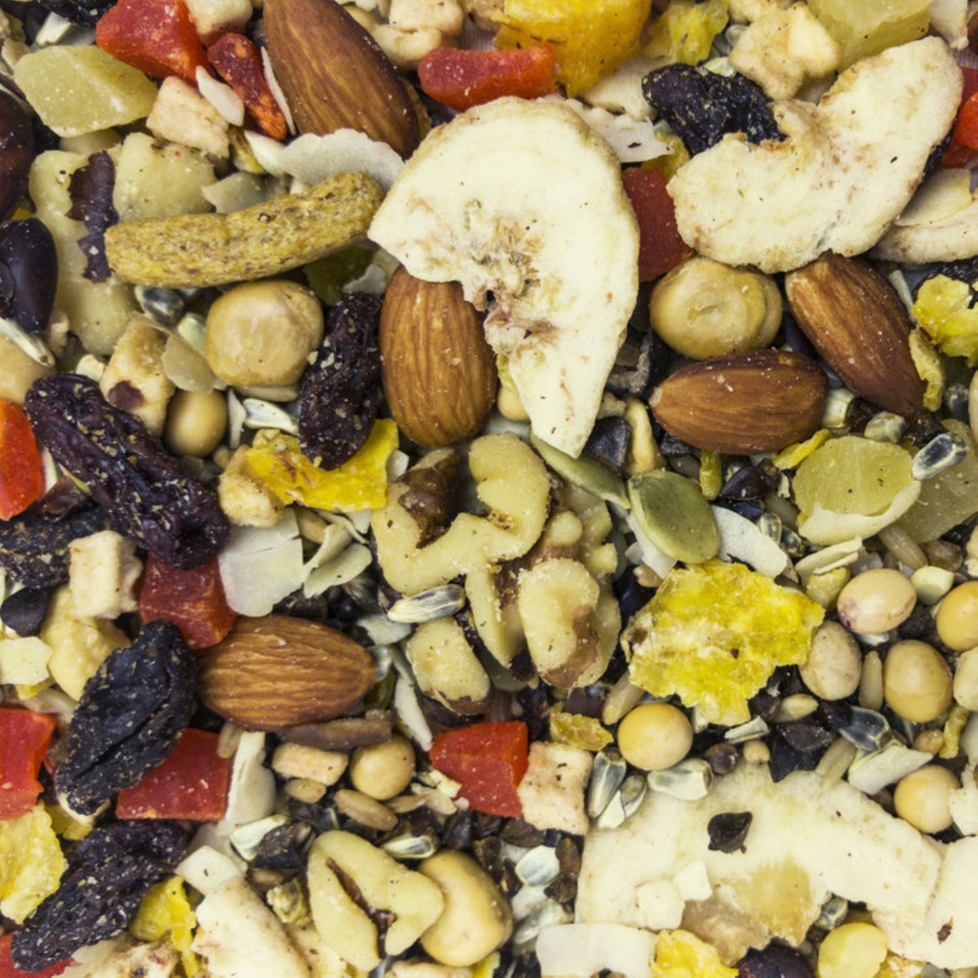 Higgins Sunburst Gourmet Bird Treats, Fruit to Nuts for Conures, Parrots, and Macaws, 20lbs