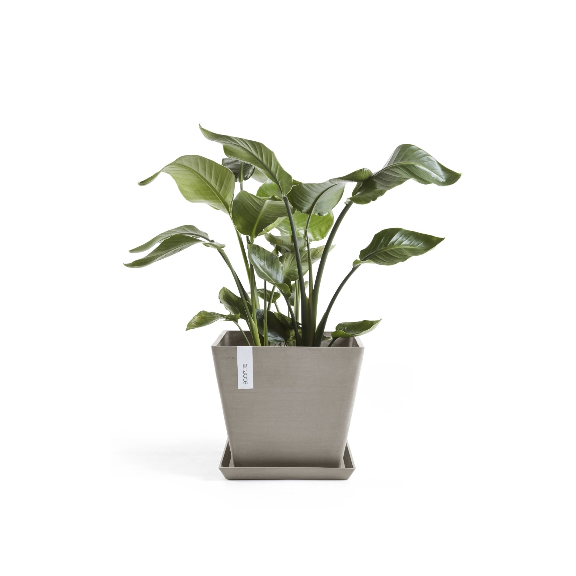 Ecopots Rotterdam Durable Modern Square Indoor/Outdoor Recycled-Based Composite Flower Planter