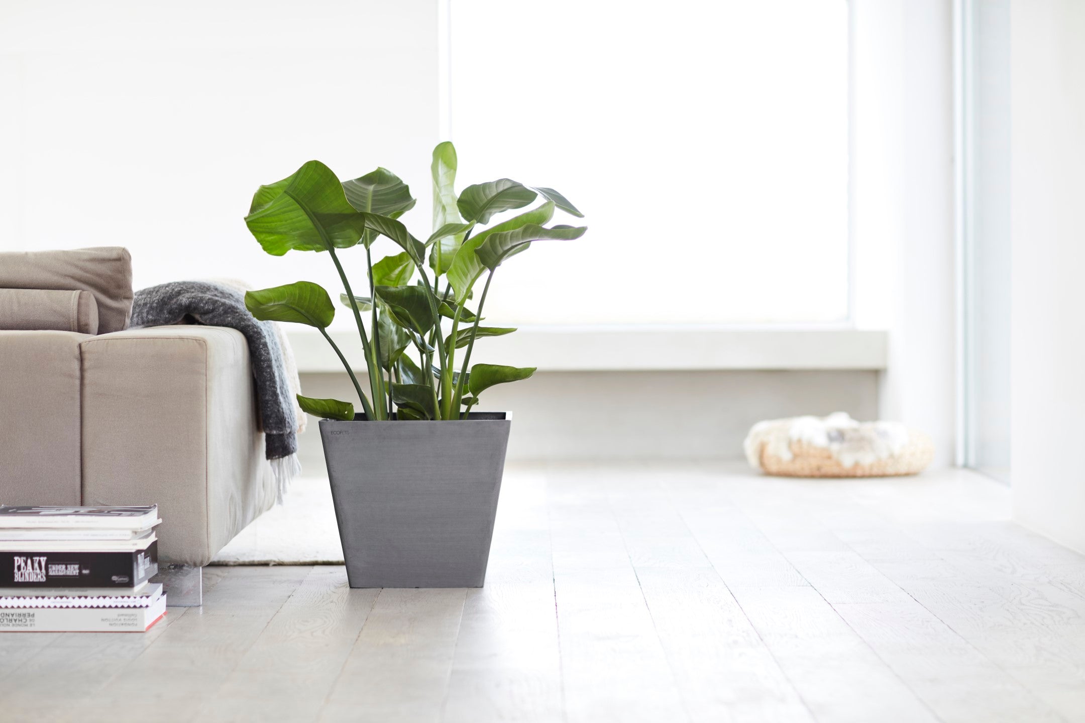 Ecopots Rotterdam Durable Modern Square Indoor/Outdoor Recycled-Based Composite Flower Planter