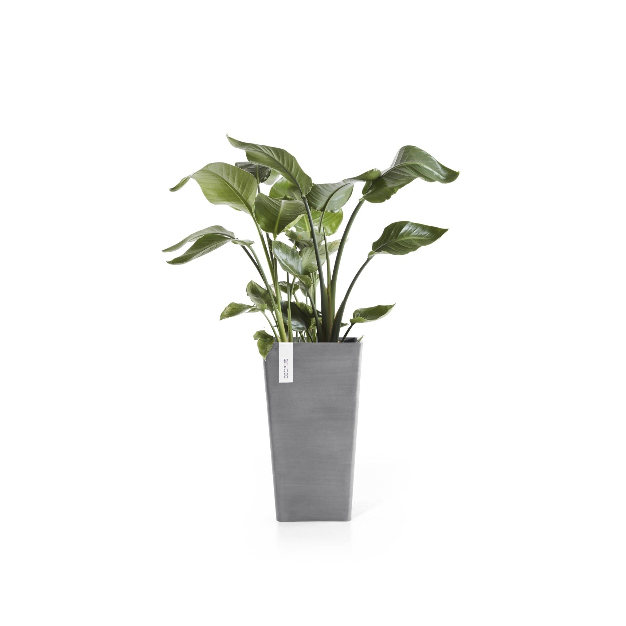 Ecopots Rotterdam Mid High Durable Modern Square Indoor/Outdoor Recycled-Based Composite Flower Planter
