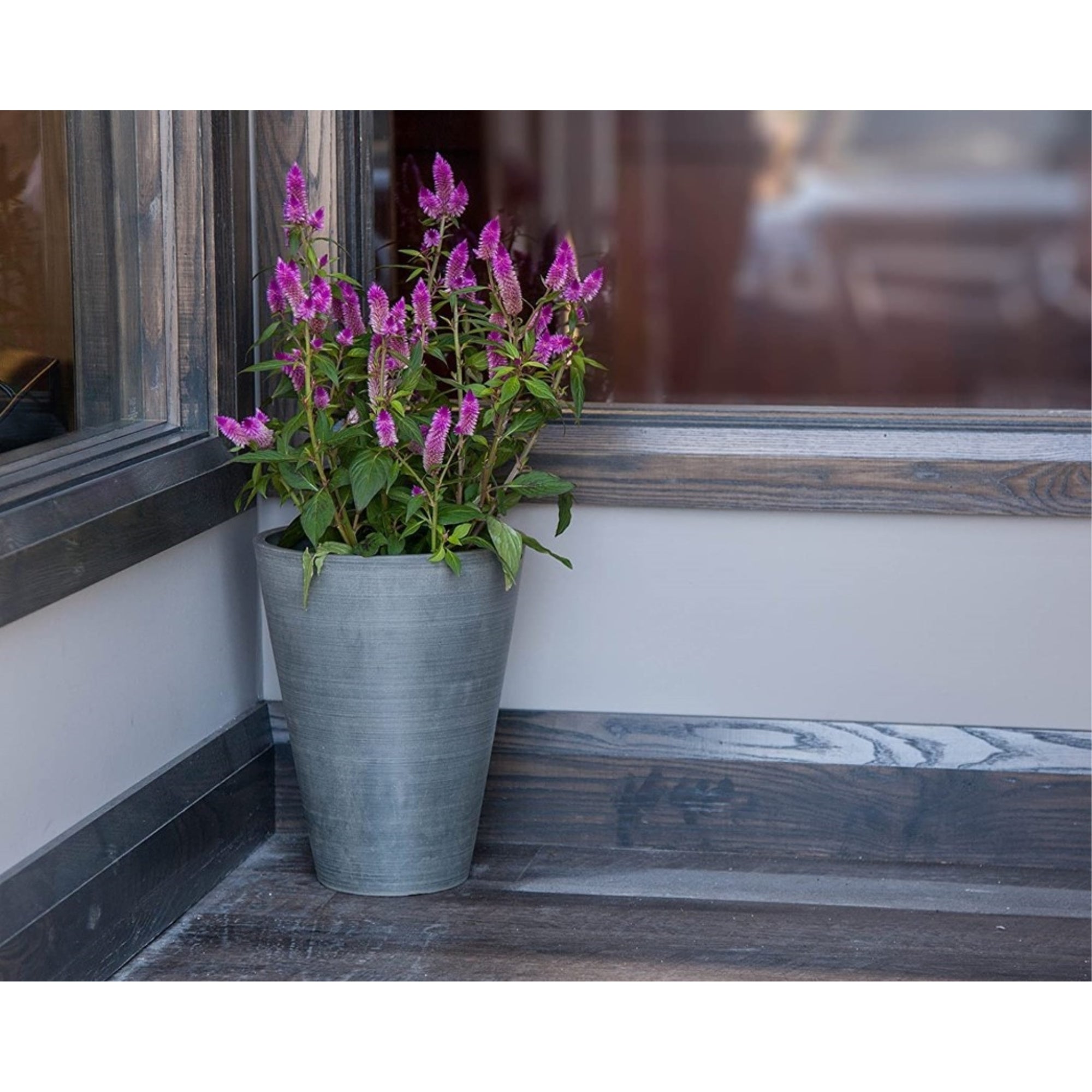 Algreen Valencia Tall Resin Round Tapered Planter with Drainage Plug