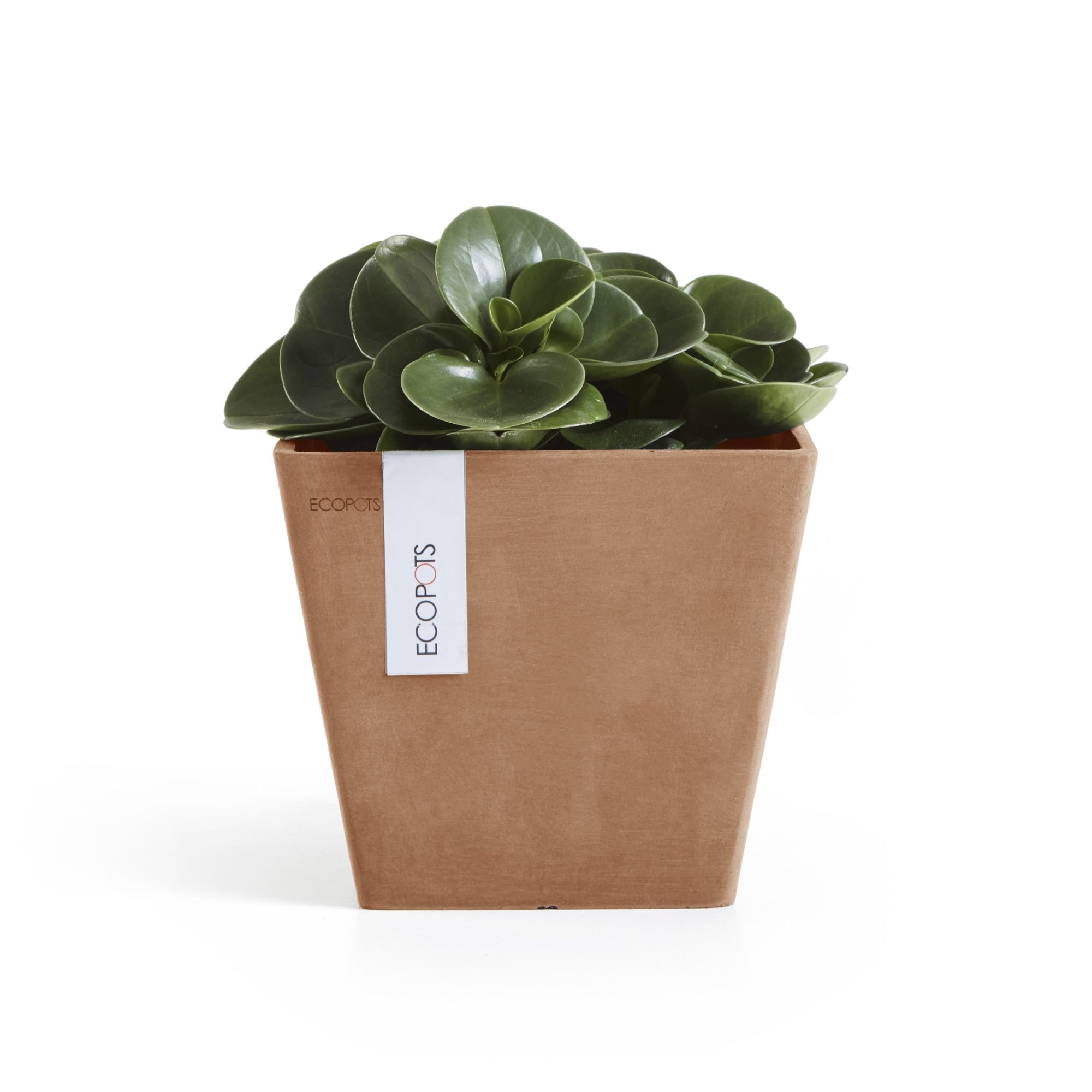 Ecopots Rotterdam Durable Modern Square Indoor/Outdoor Recycled-Based Composite Flower Planter