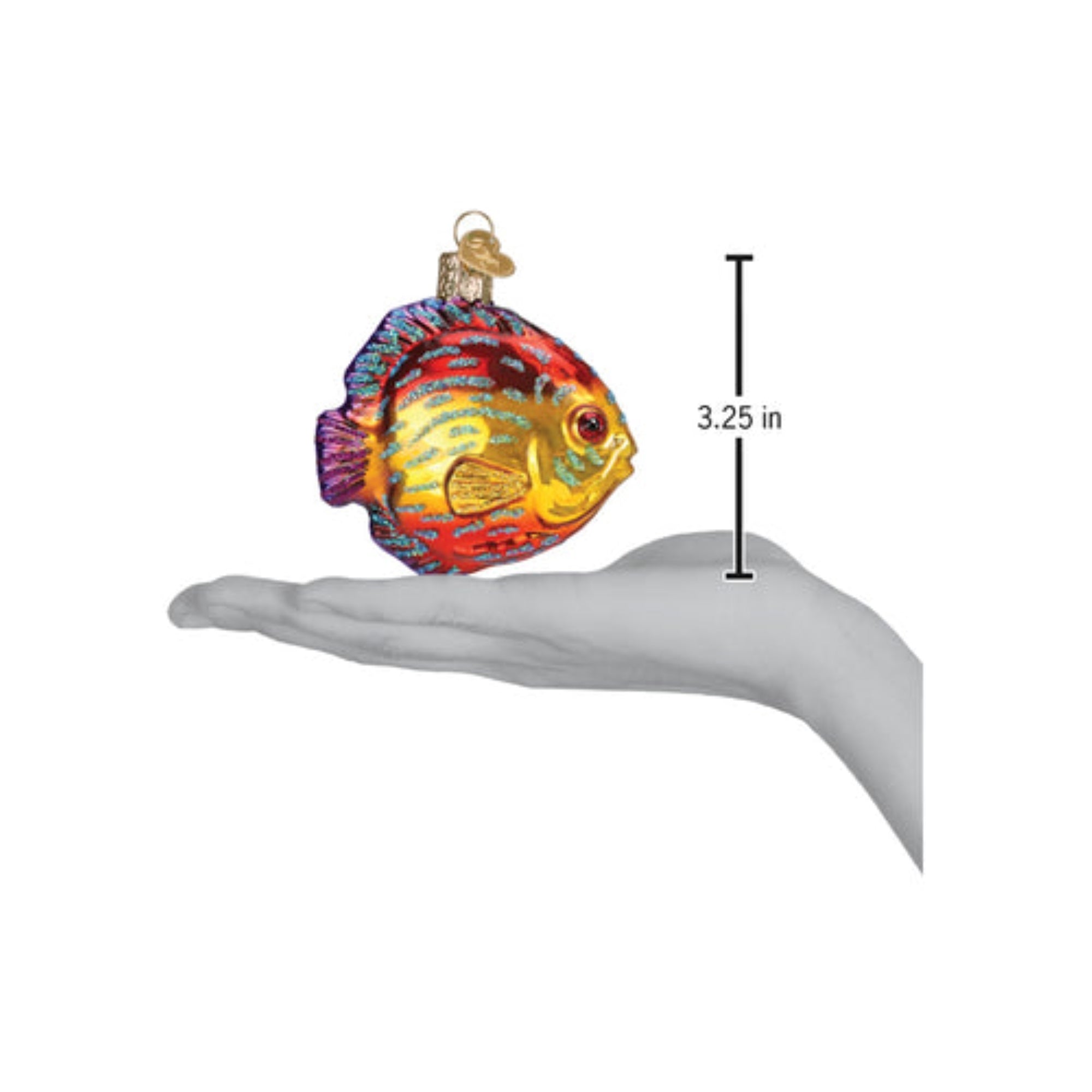 Old World Christmas Blown Glass Ornament for Christmas Tree, Discus Fish