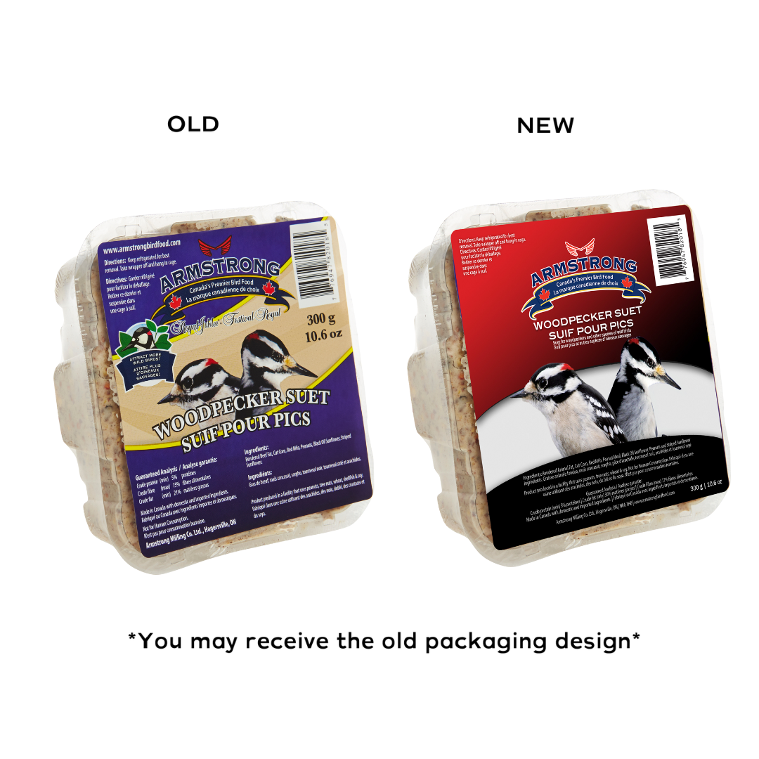 Armstrong Wild Bird Food Woodpecker Suet Cake, 10.6oz (Pack of 12)
