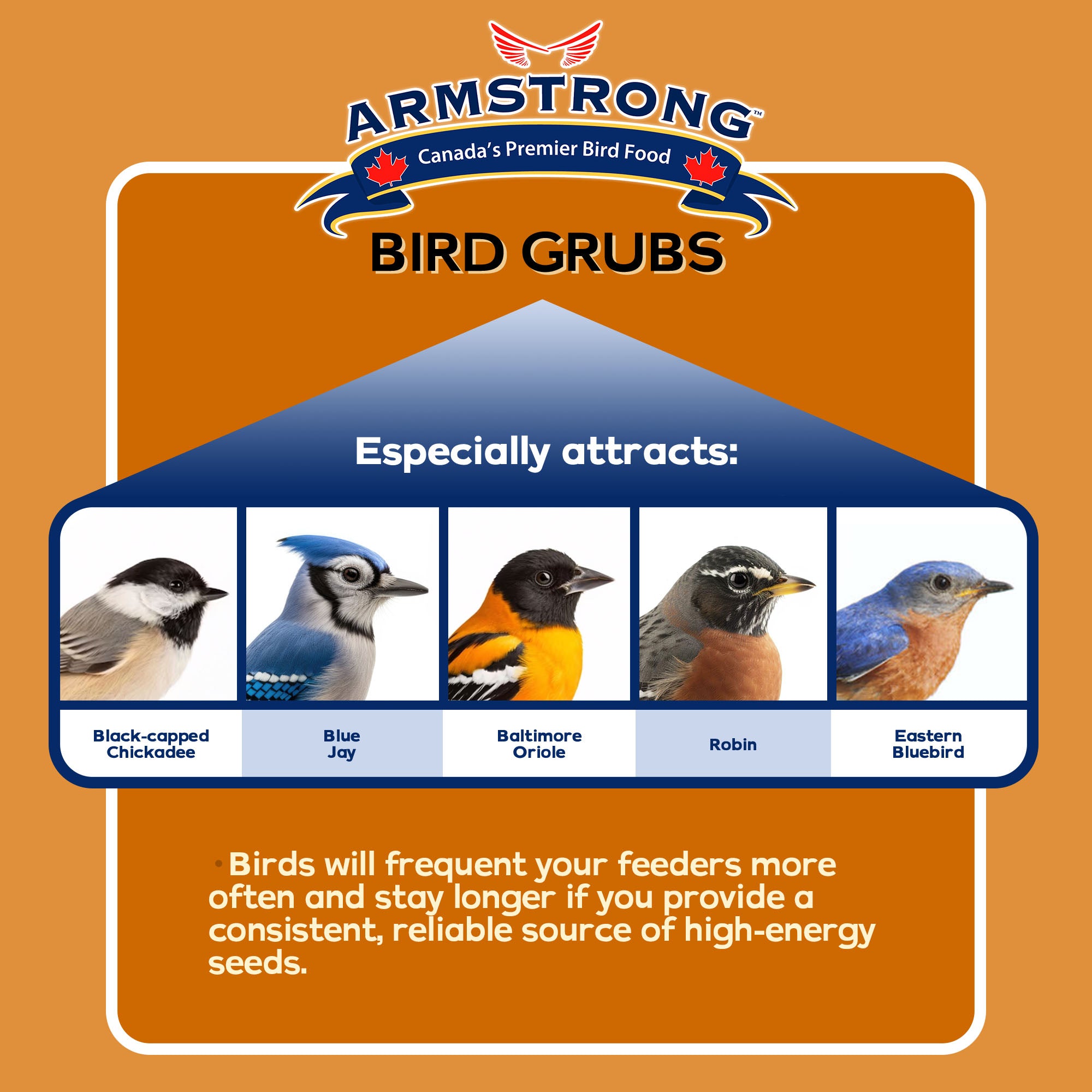 Armstrong Wild Bird Food Mealworm Alternative Bird Grubs Bird Seed Blend
