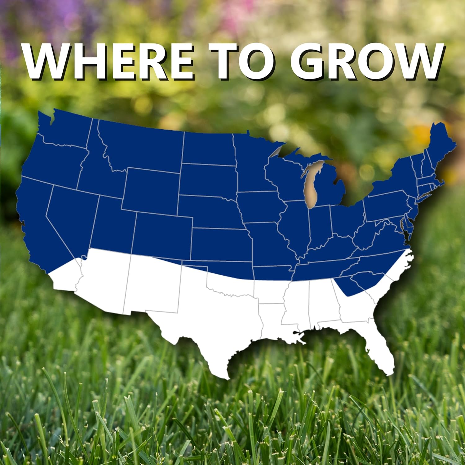 Jonathan Green Black Beauty Ultra Grass Seed Mix