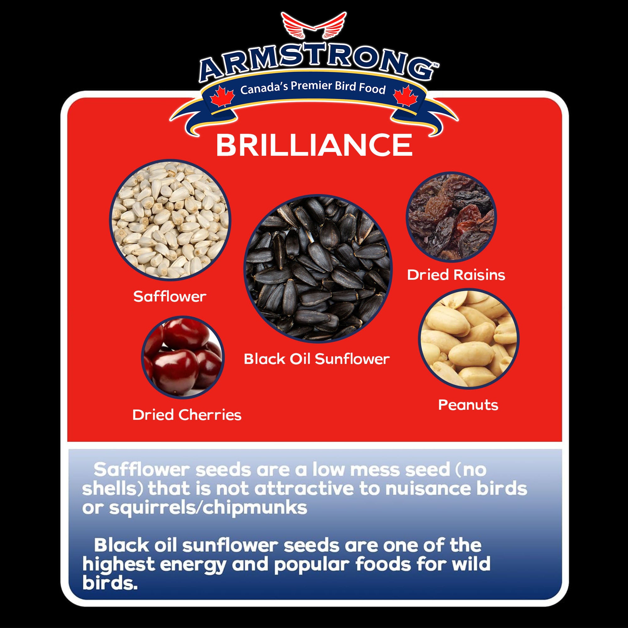 Armstrong Wild Bird Food Royal Jubilee Brilliance Bird Seed Blend For Northern Cardinals