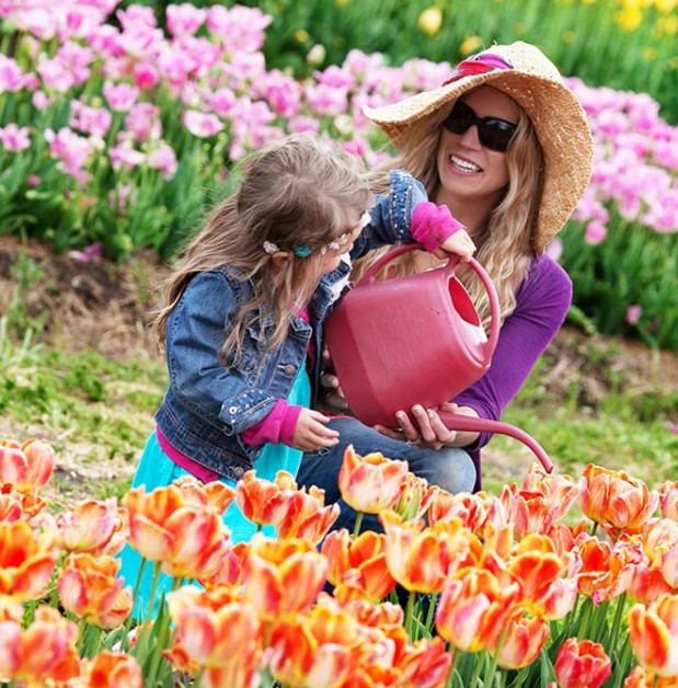 Bloem Aqua Rite Plastic Watering Cans
