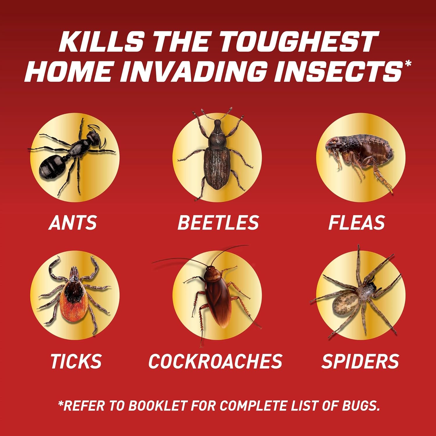 Ortho 0196710 Home Defense MAX Insect Killer Spray for Indoor/Home Perimeter, 1-Gallon